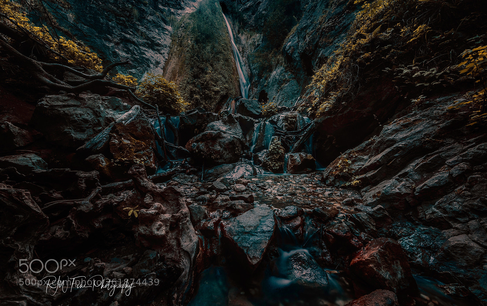 Nikon D810 sample photo. Netherworld  photography