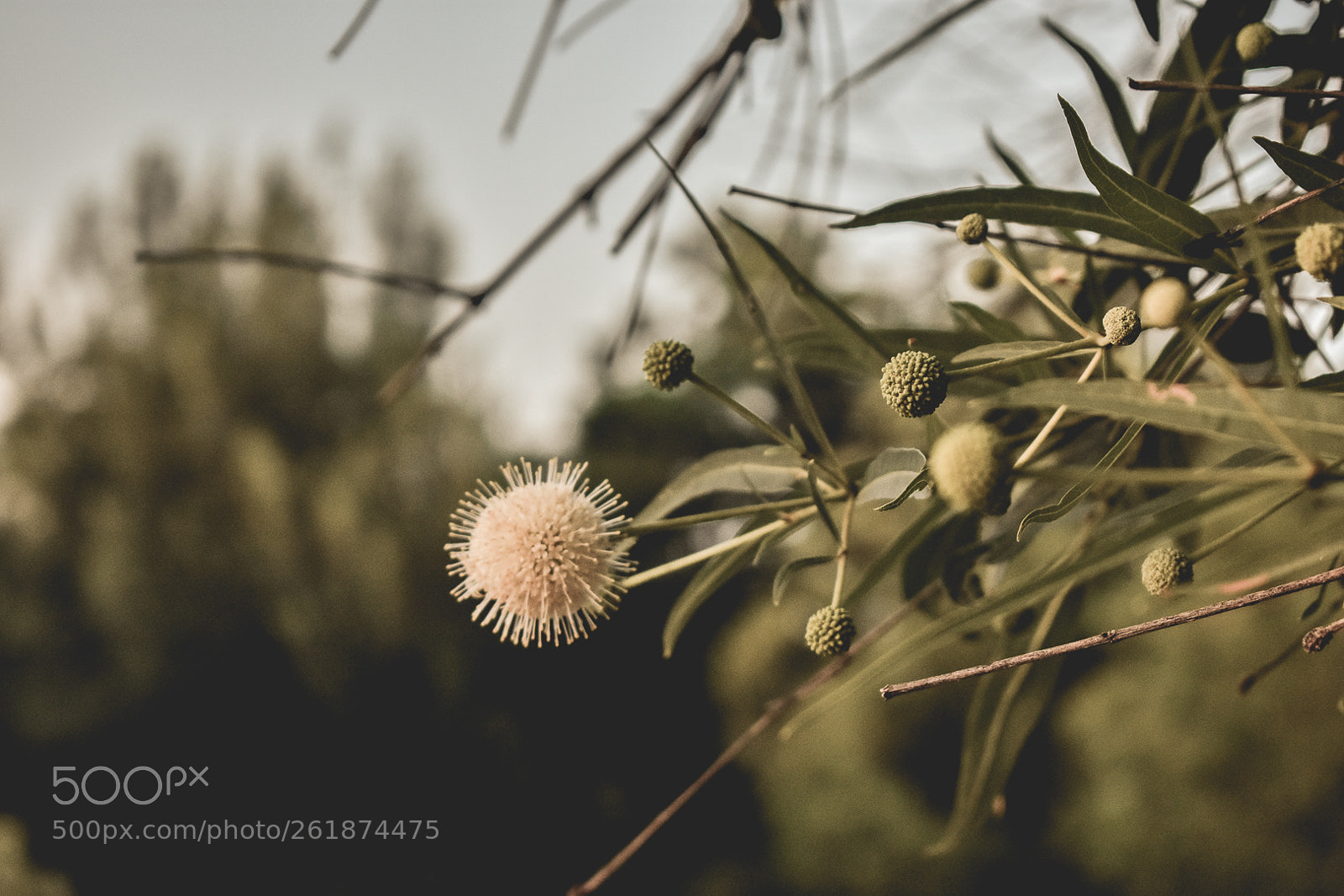 Nikon D3400 sample photo. Peacefulness photography