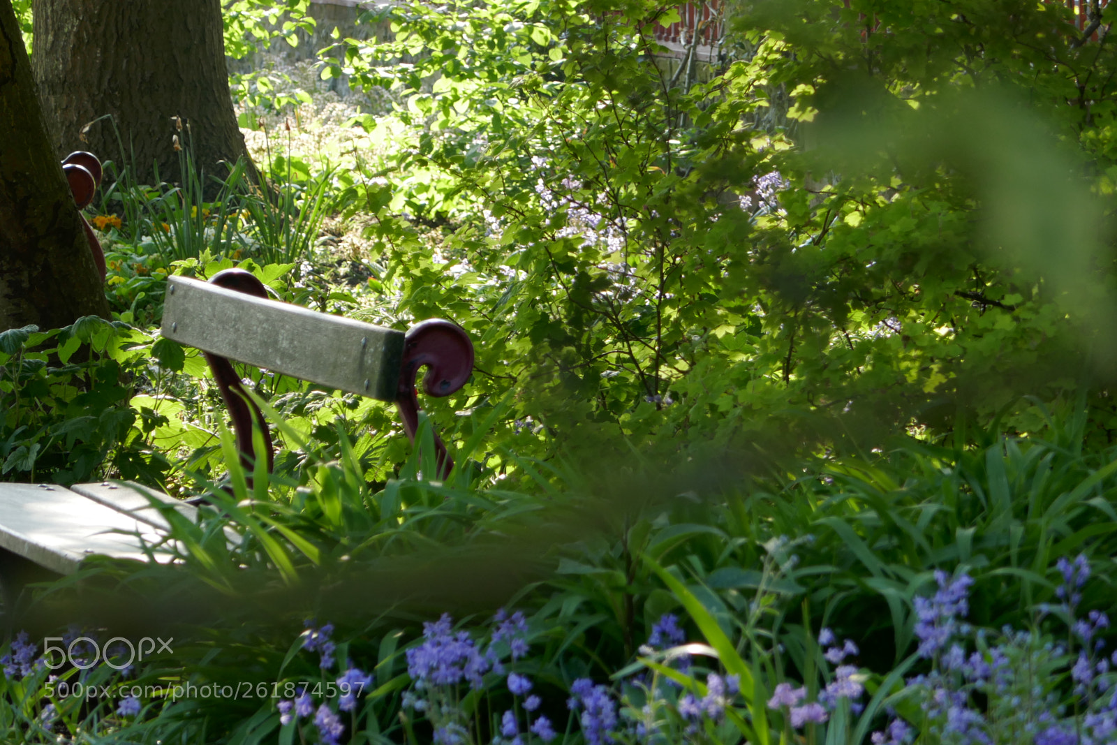 Panasonic Lumix DMC-ZS100 (Lumix DMC-TZ100) sample photo. Bench in the woods photography