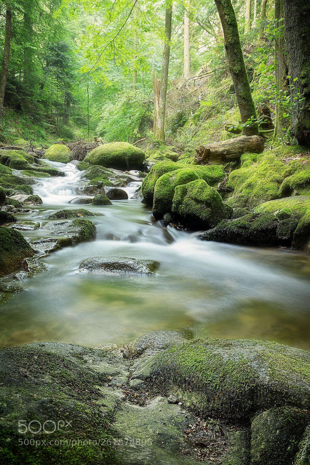 Canon EOS 6D sample photo. A morning hike photography