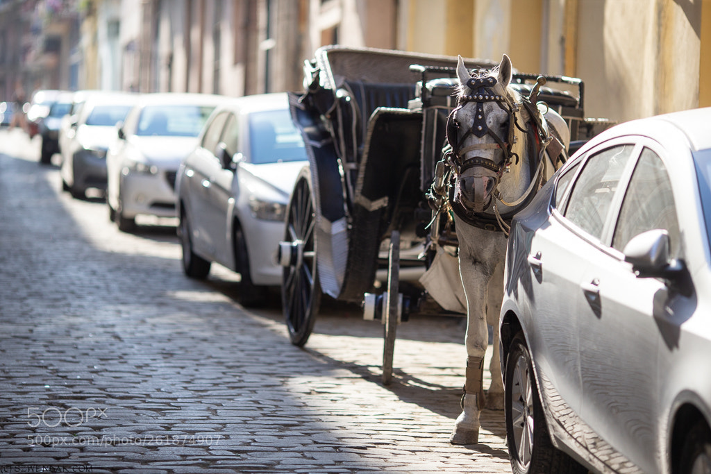 Canon EOS-1D X sample photo. Parking lot in havana ;) photography