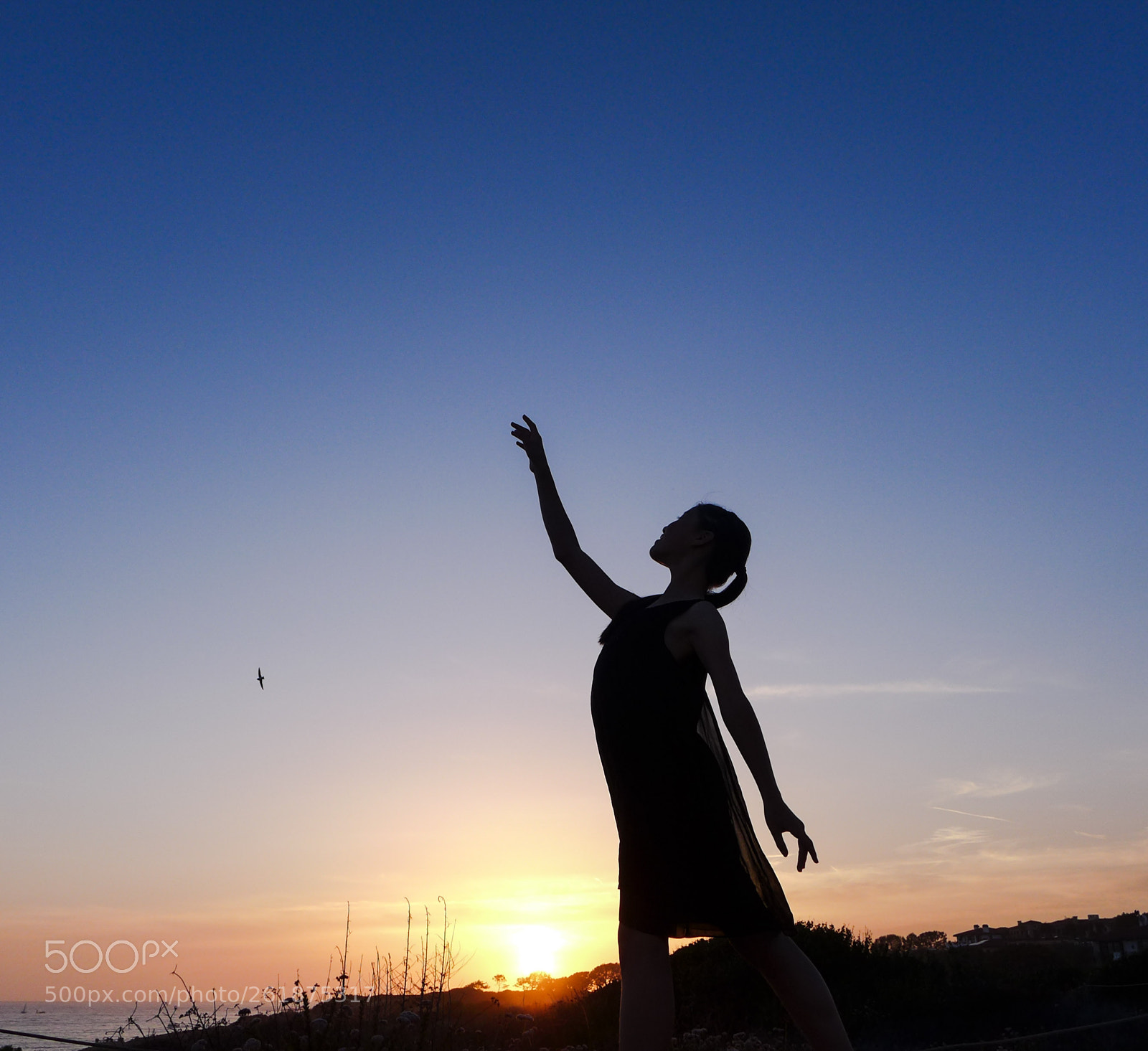 Panasonic Lumix DMC-LX7 sample photo. Dancing photography