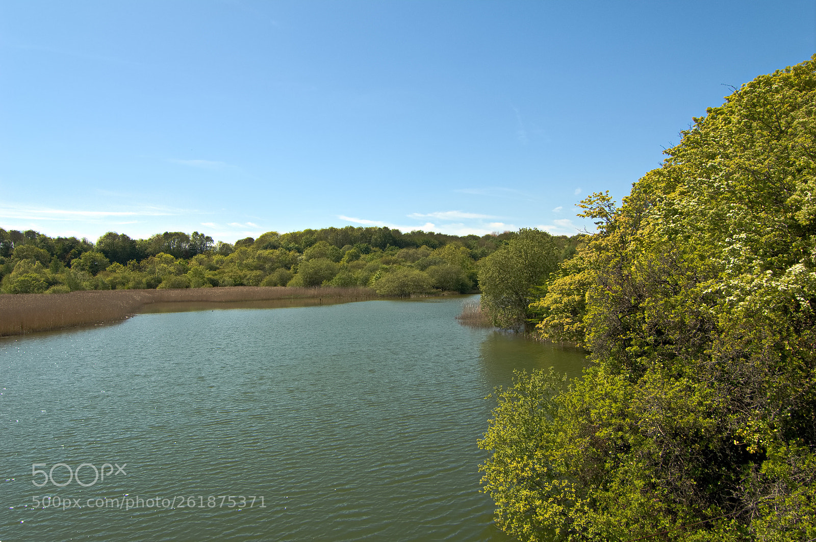 Nikon D2X sample photo. Summertime lake photography