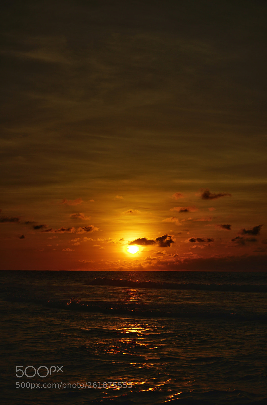Sony a7 II sample photo. Elyu photography