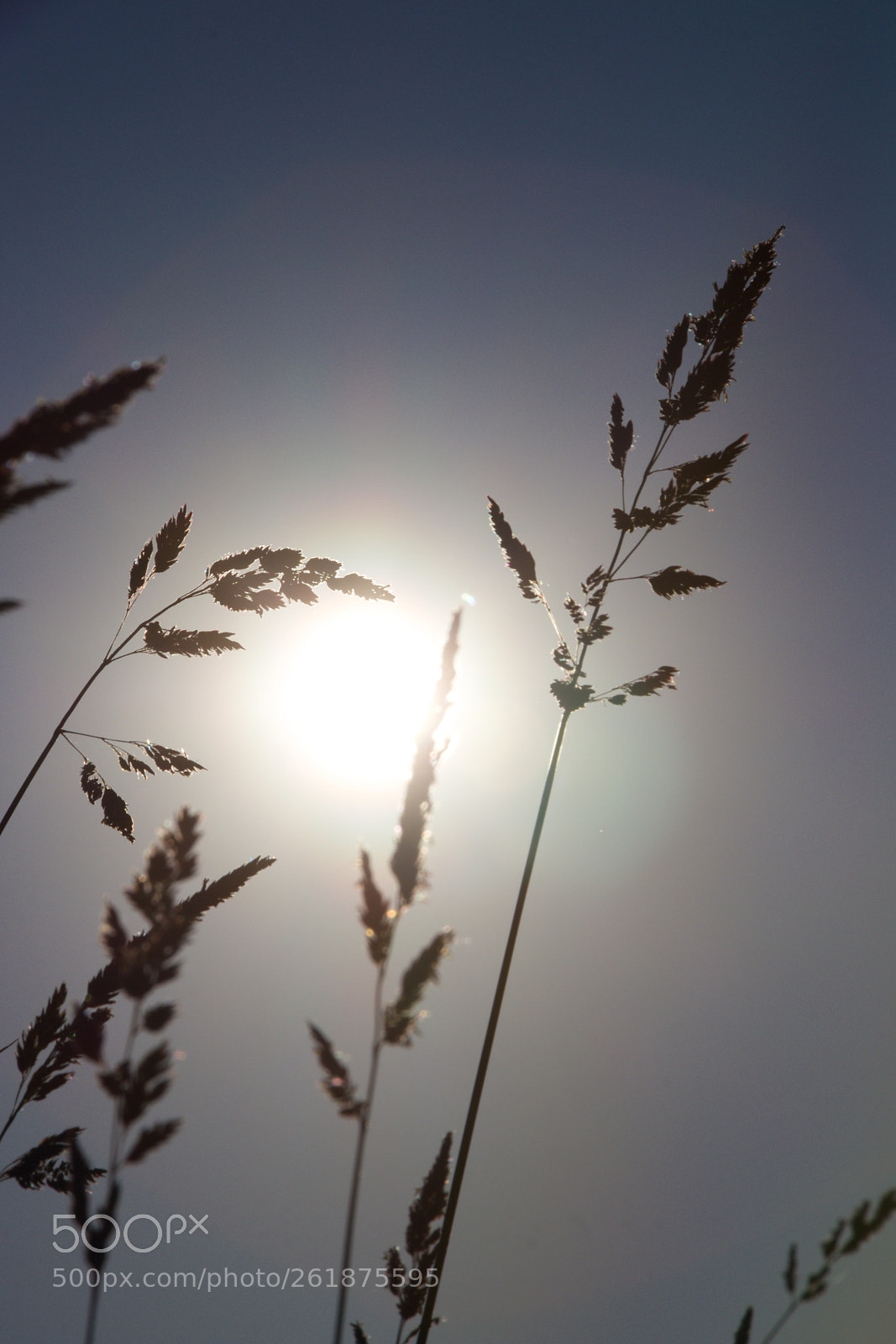 Canon EOS 80D sample photo. A bit of simplicity photography