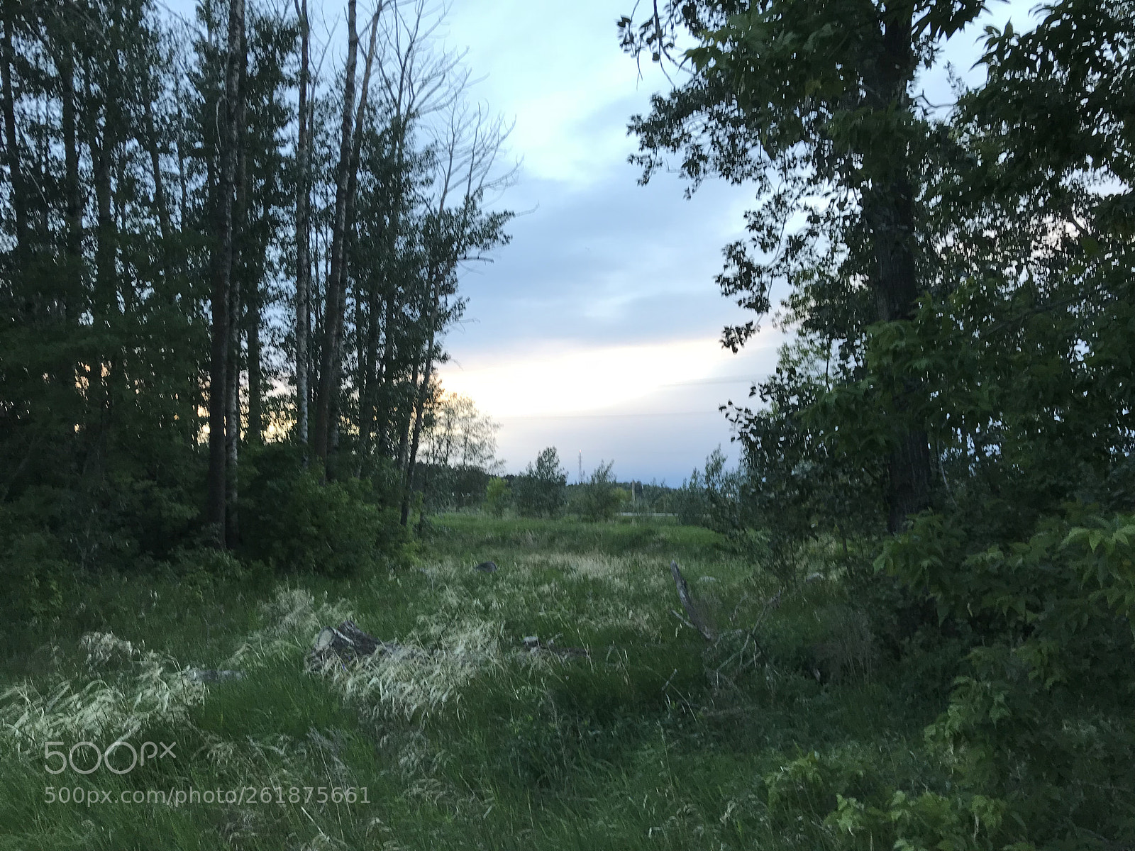 Apple iPad Pro (10.5-inch) sample photo. Untitled photography