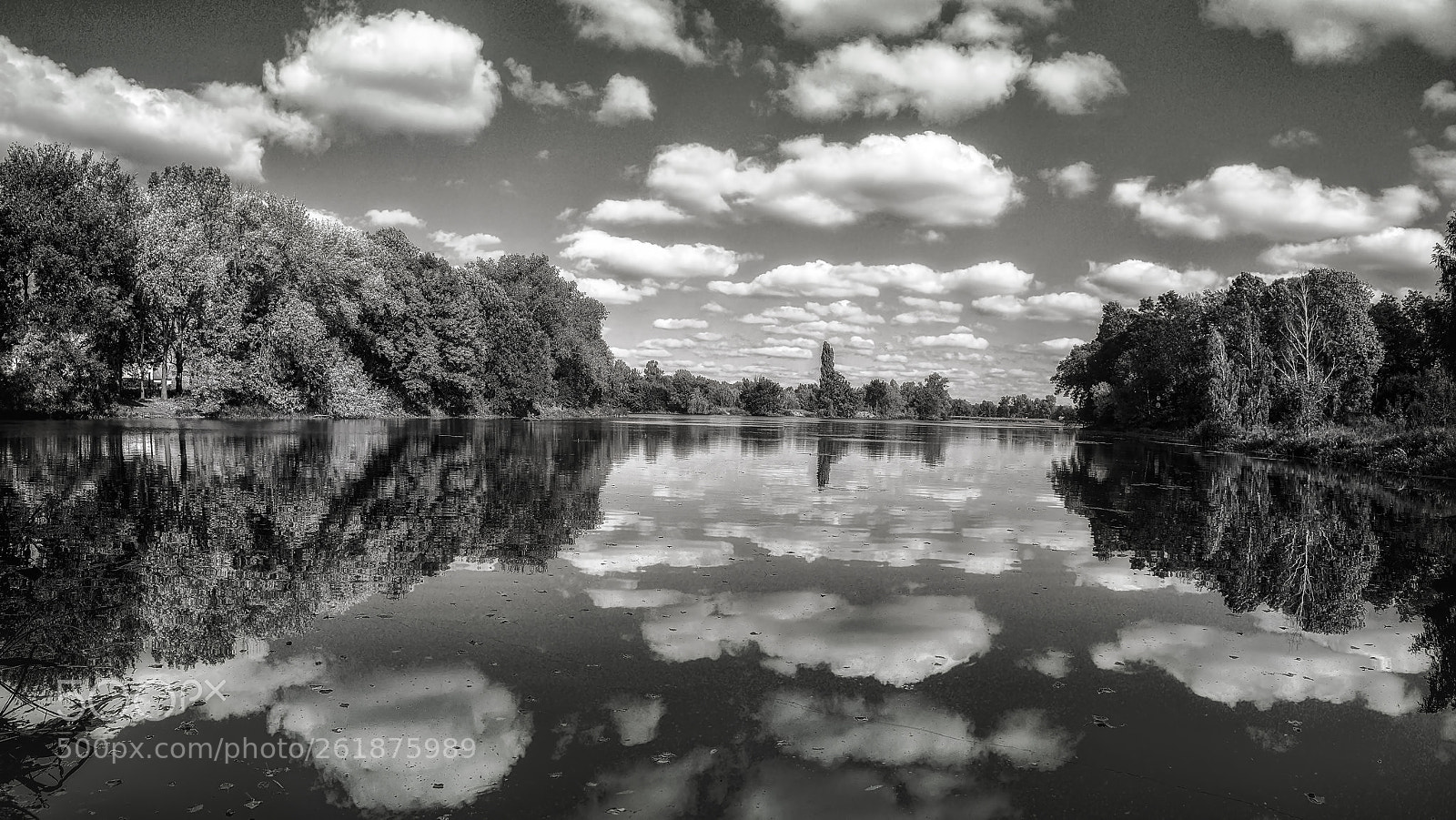 Nikon D800E sample photo. Clouds b/w photography