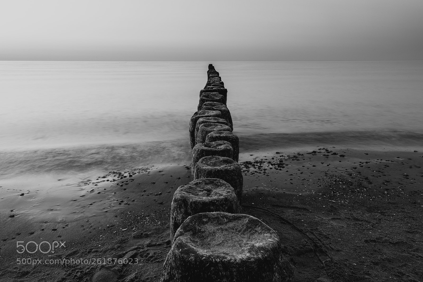 Nikon D750 sample photo. Silence photography