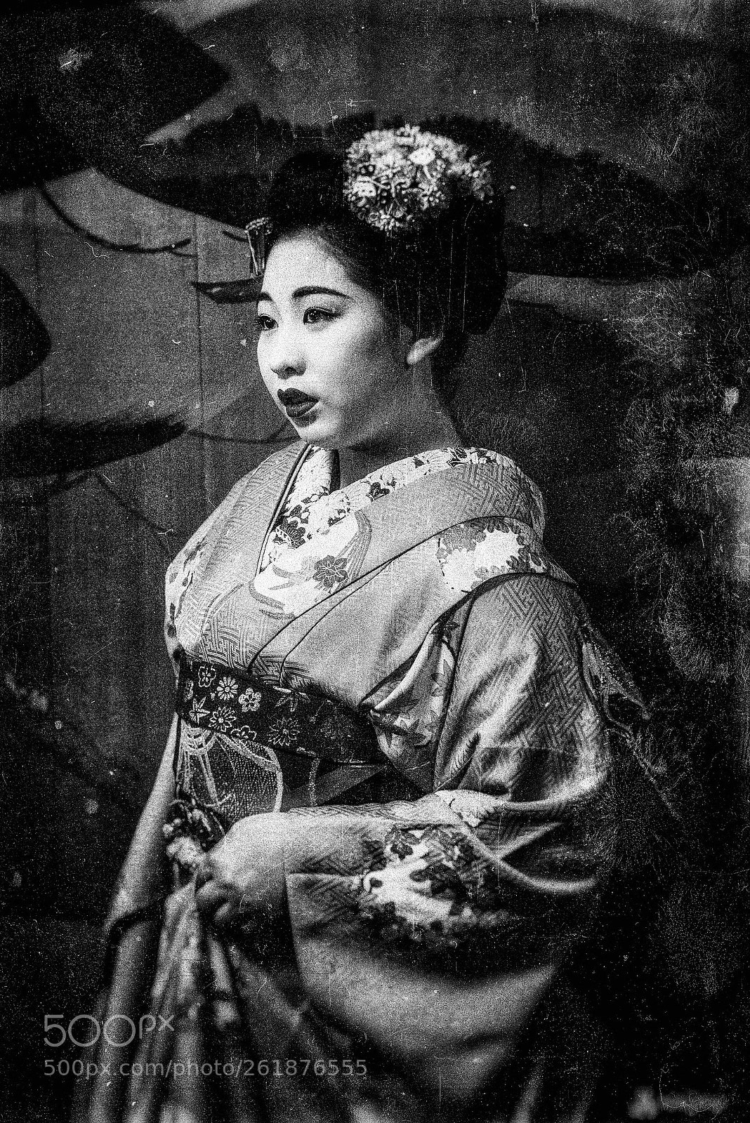 Nikon D810 sample photo. Geisha photography