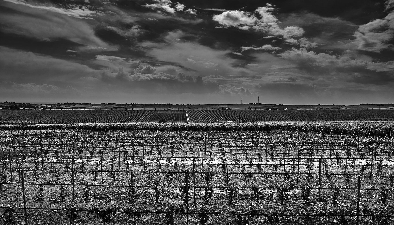 Fujifilm X-T2 sample photo. Country fields photography