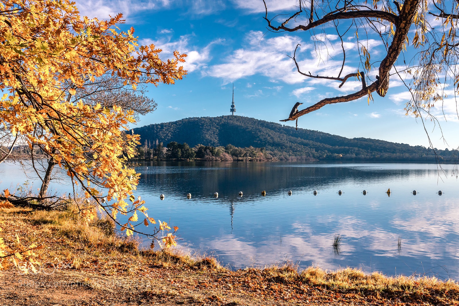Canon EOS 5DS R sample photo. Lake burley griffin canberra photography