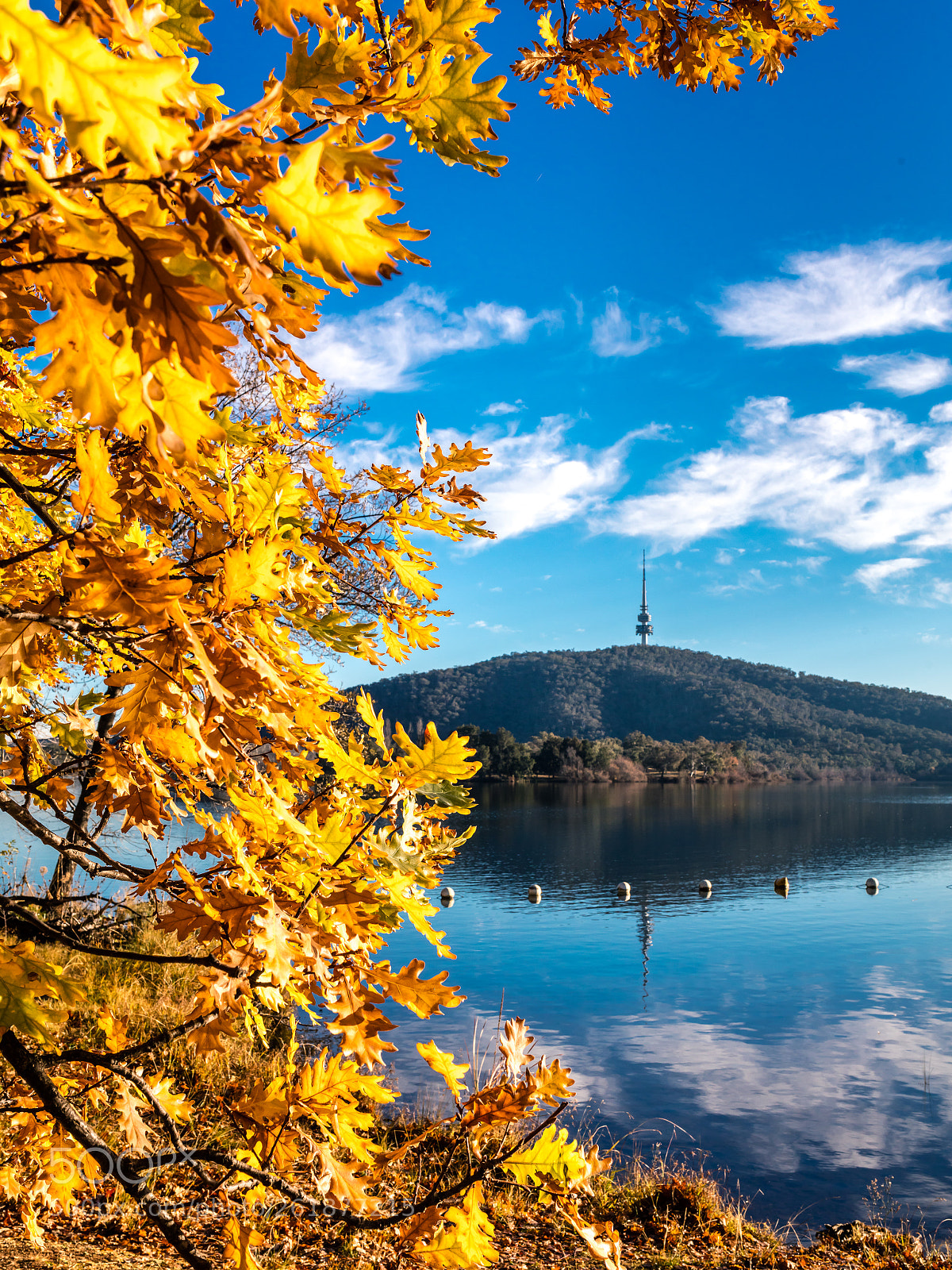 Canon EOS 5DS R sample photo. Lake burley griffin canberra photography
