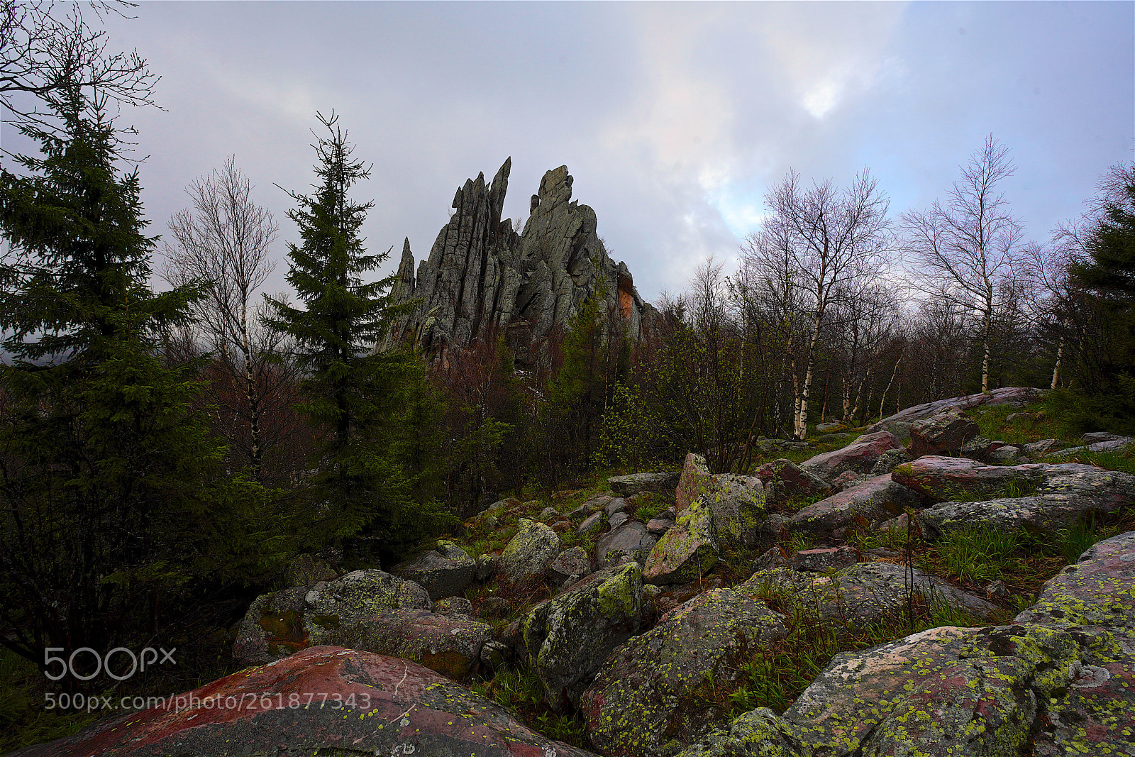 Sony a7R III sample photo. 270.jpg photography