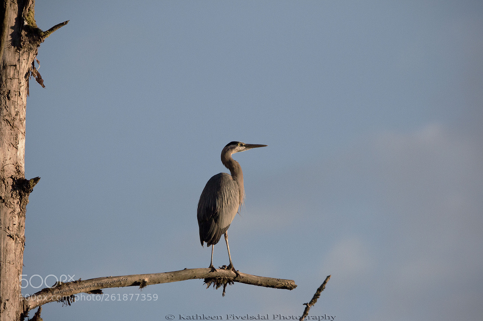 Canon EOS 70D sample photo. Untitled photography