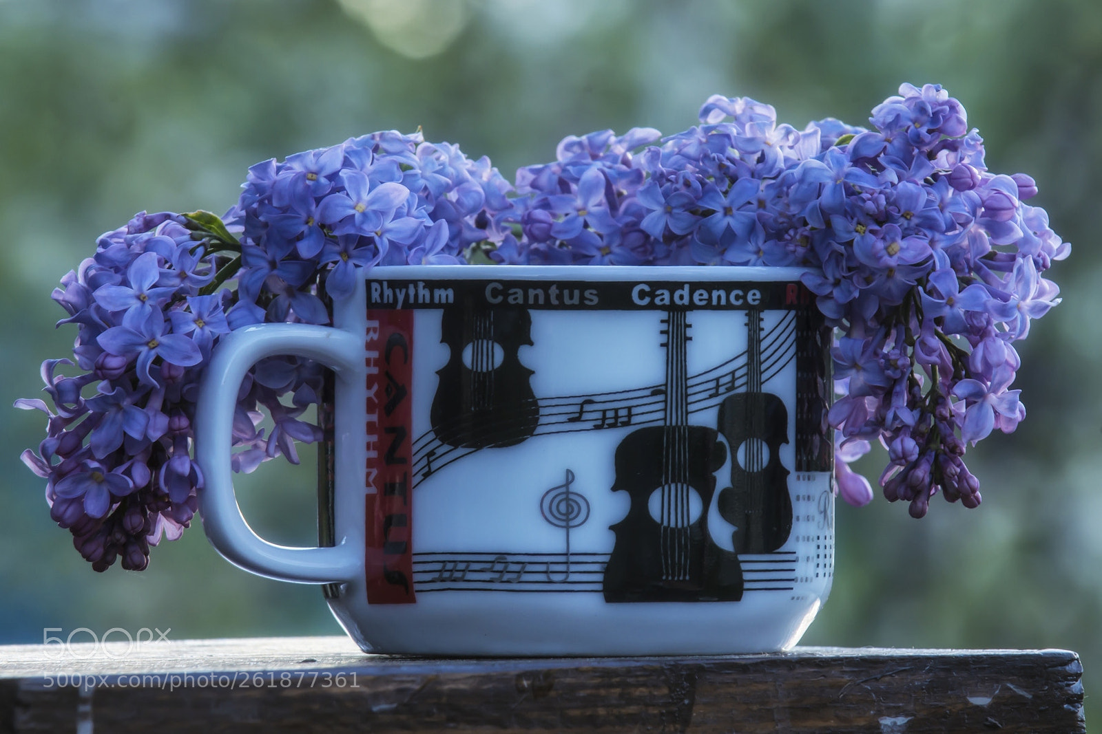 Nikon D800 sample photo. Lilac still life photography