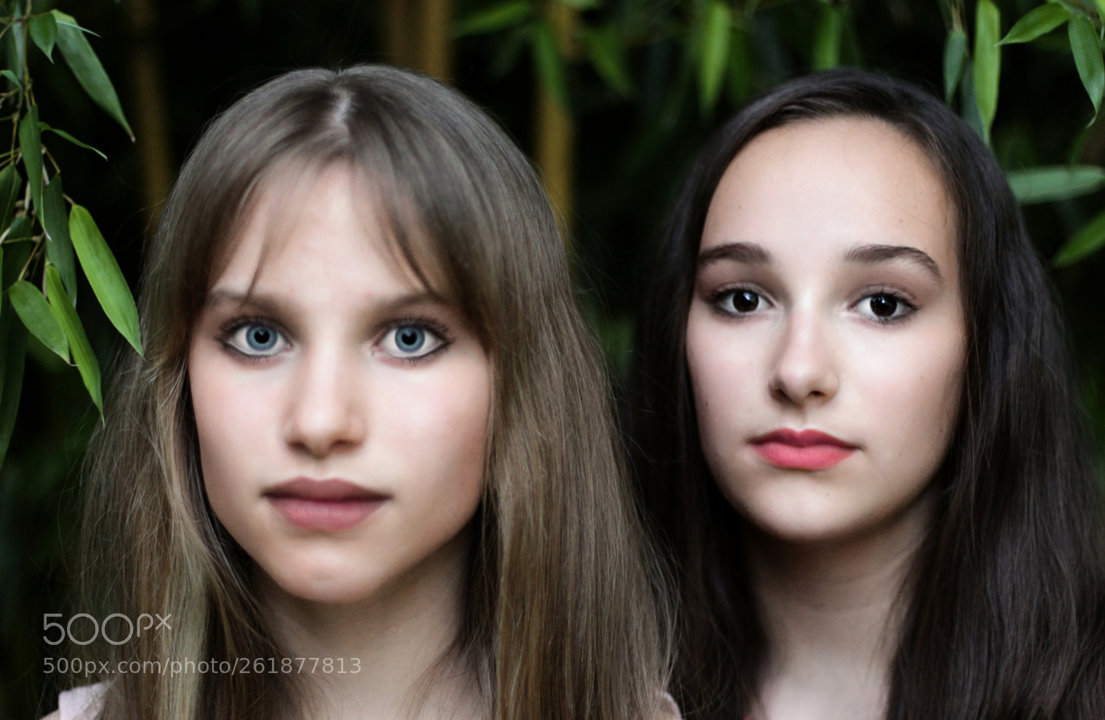 Canon EOS 700D (EOS Rebel T5i / EOS Kiss X7i) sample photo. Blue and black eyes photography
