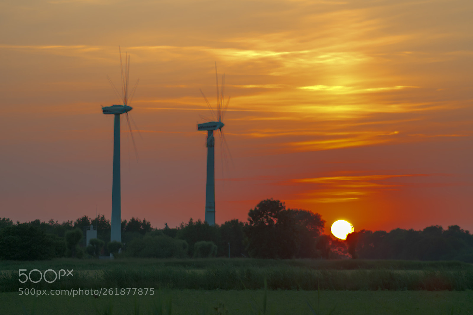 Nikon D300 sample photo. Wind turbines in lower photography