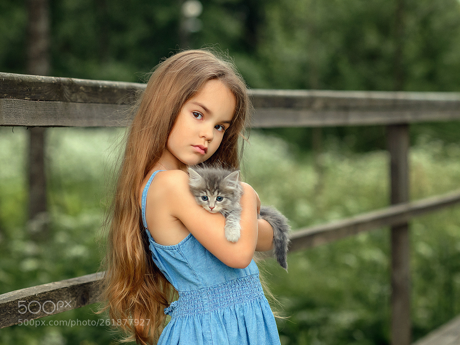 Nikon D800 sample photo. Девочка с котиком photography