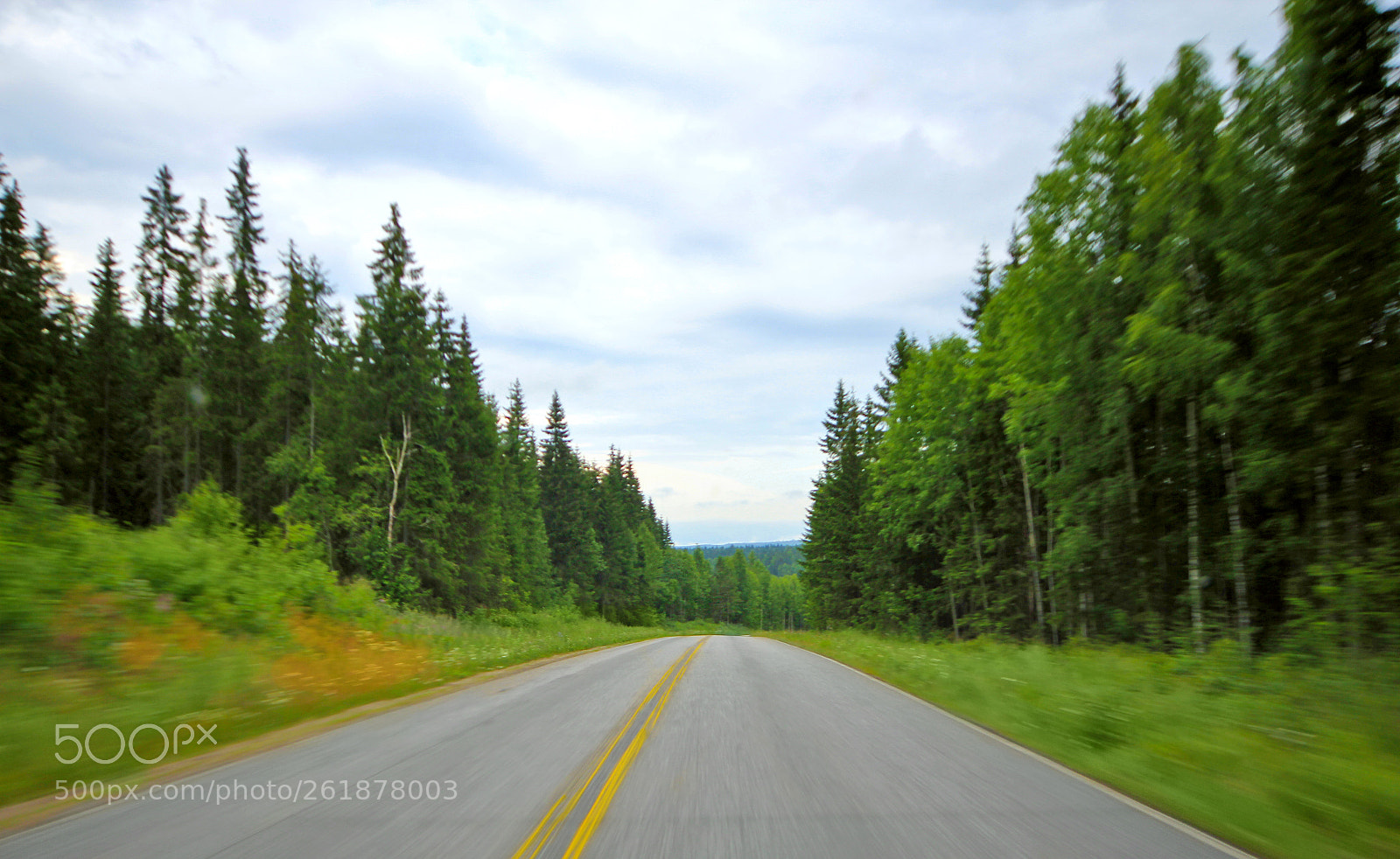 Canon EOS 60D sample photo. Nature img photography