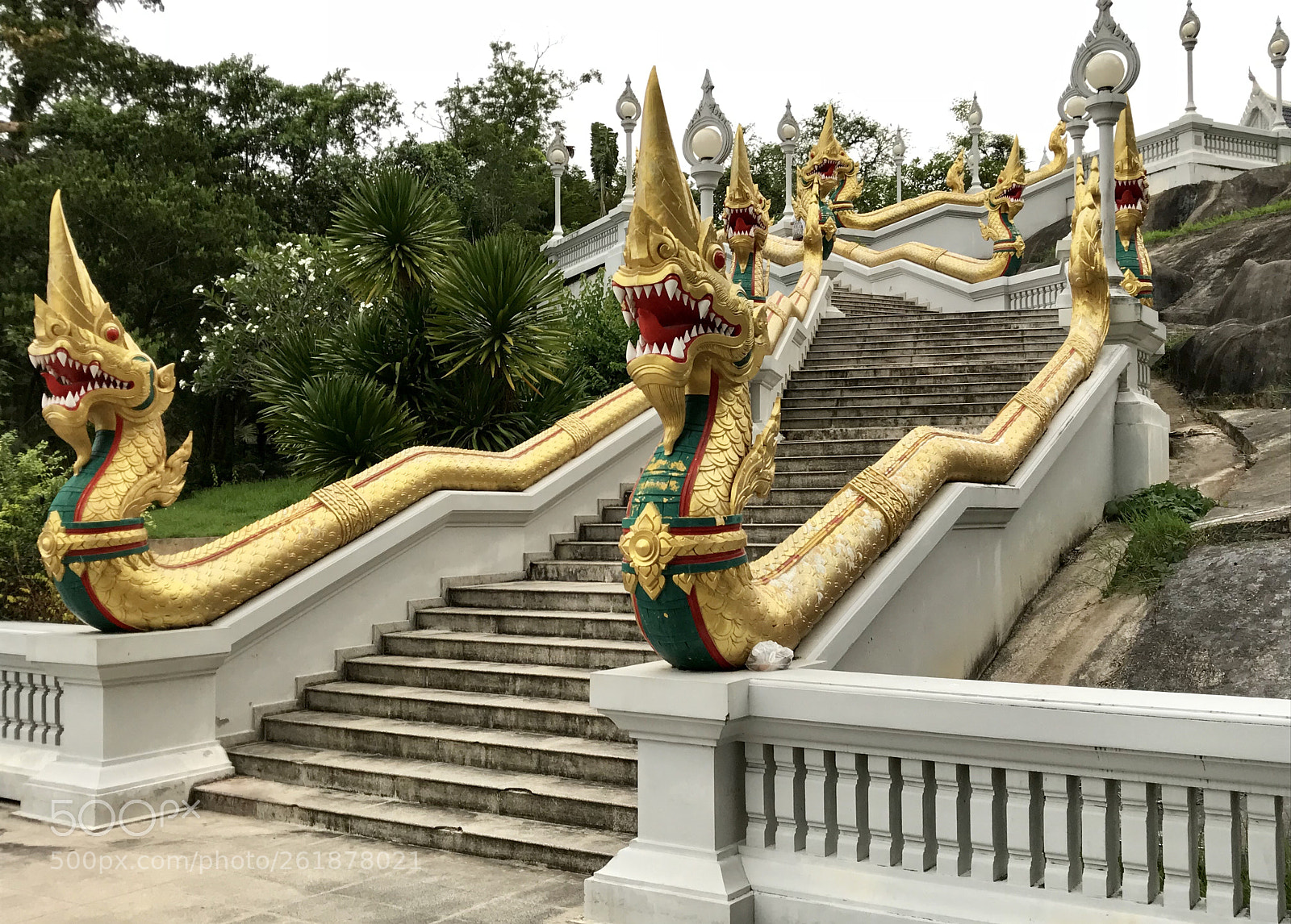 Apple iPad Pro (10.5-inch) sample photo. Golden snake  photography