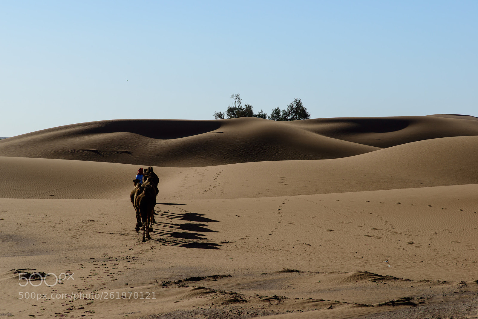 Nikon D800 sample photo. In line photography