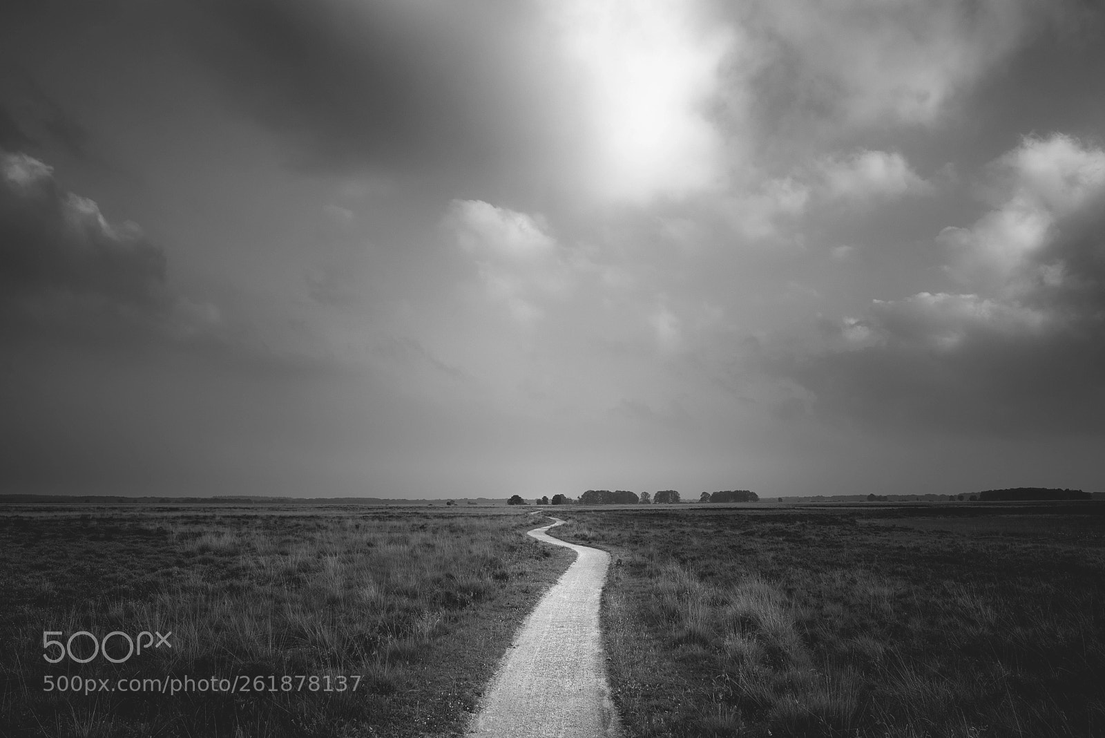 Nikon D750 sample photo. Bike path photography