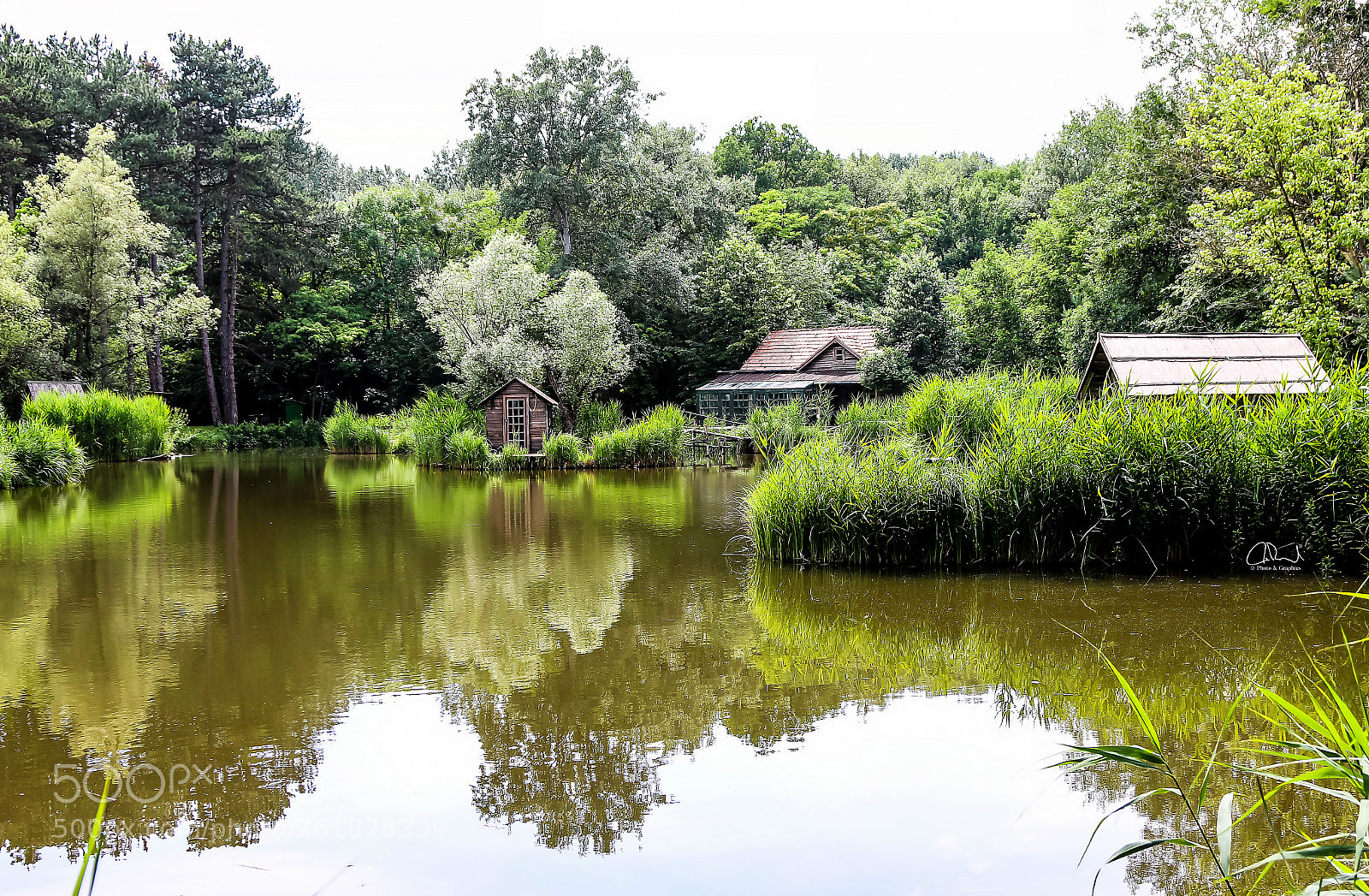 Canon EOS 70D sample photo. Lake photography