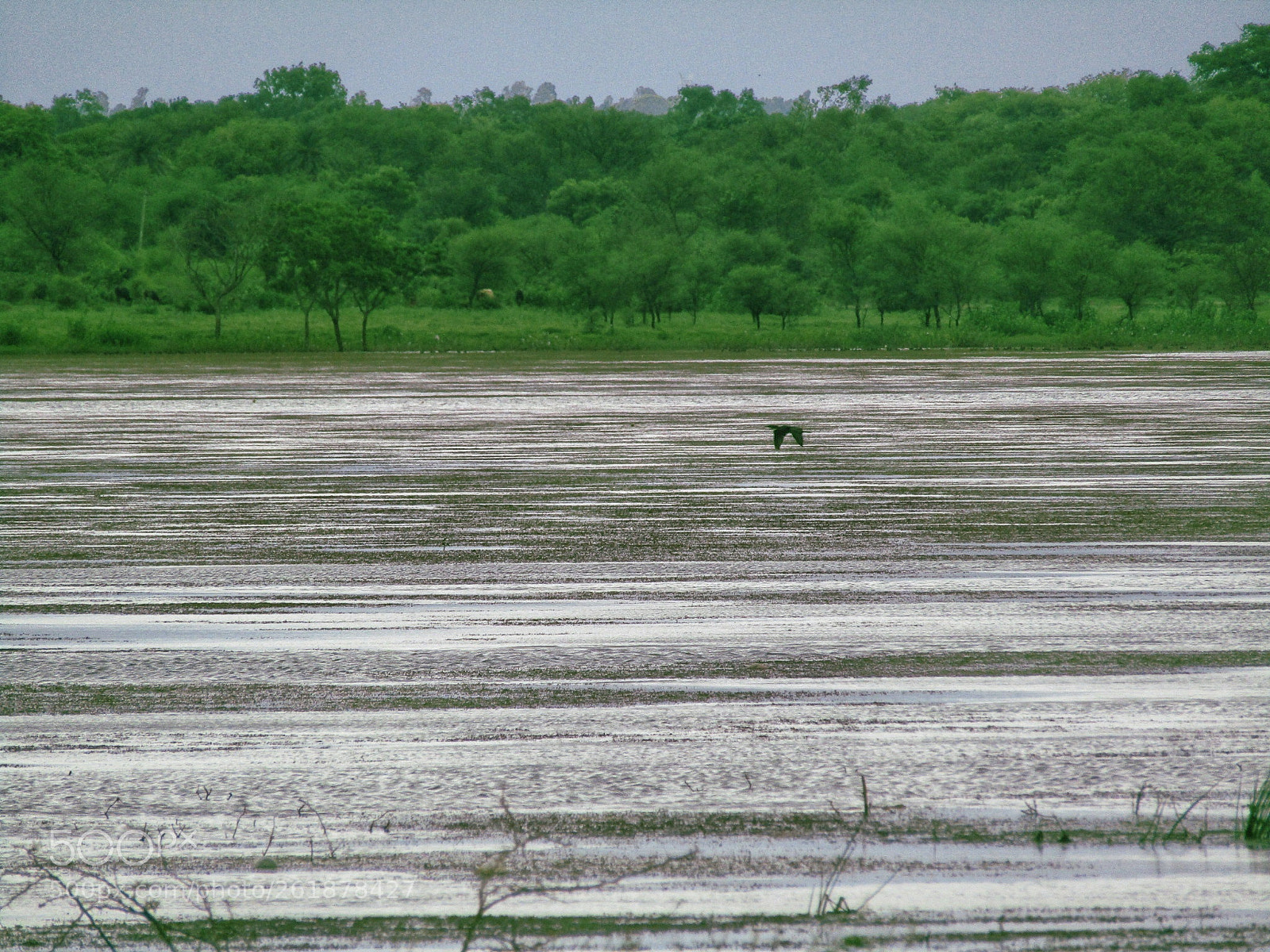 Canon POWERSHOT SX430 IS sample photo. Lake photography