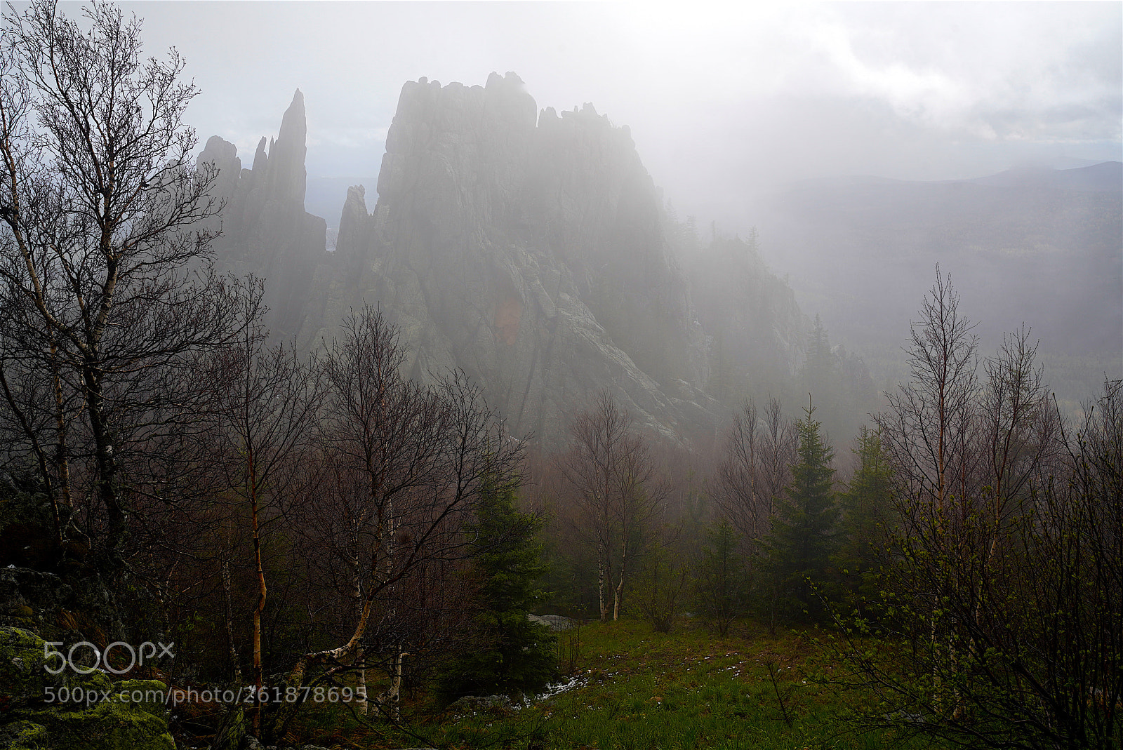 Sony a7R III sample photo. 0293.jpg photography