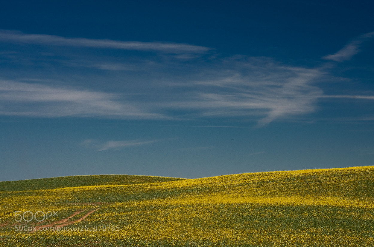 Pentax K-5 II sample photo. On the ground and photography