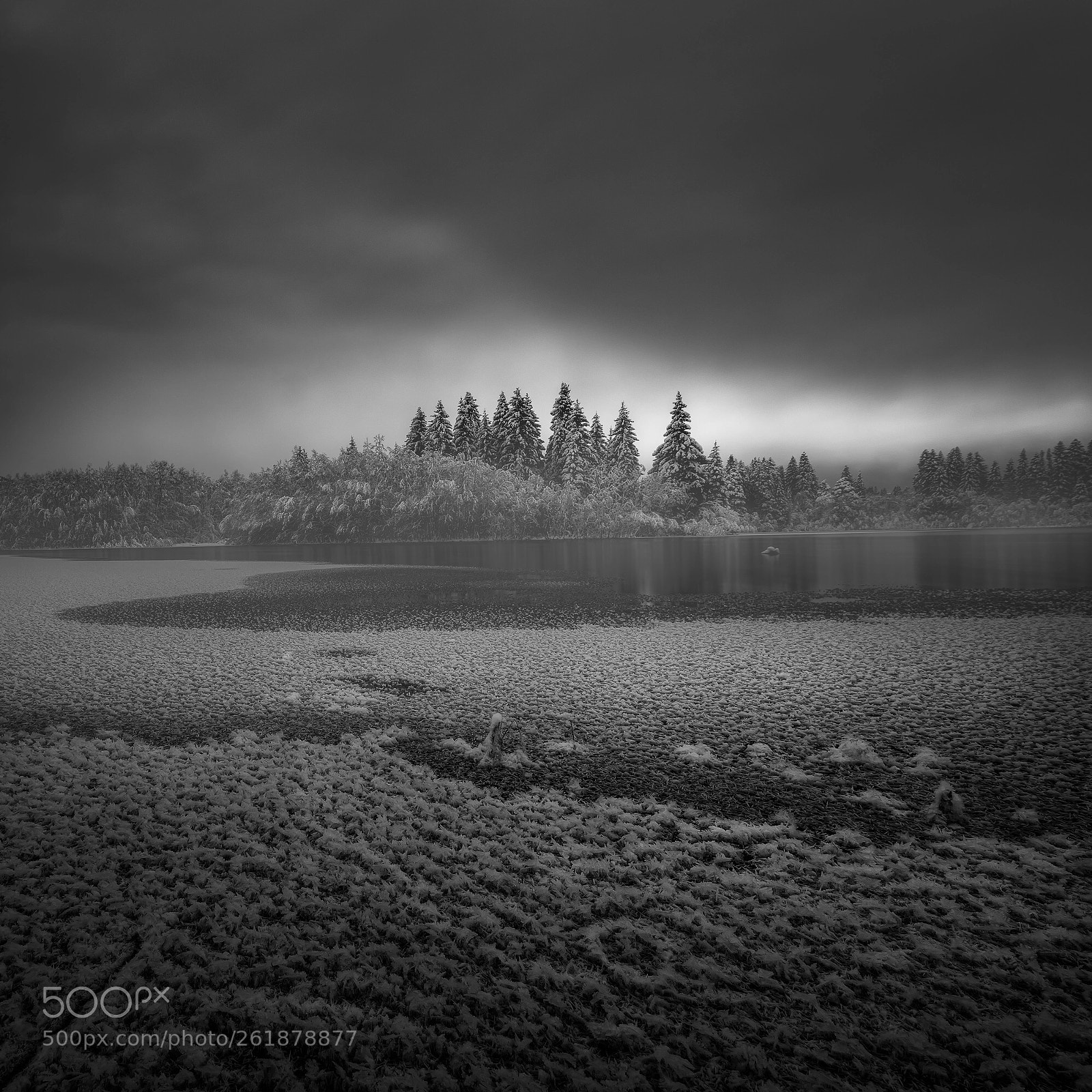 Nikon D810 sample photo. Svean morning  photography