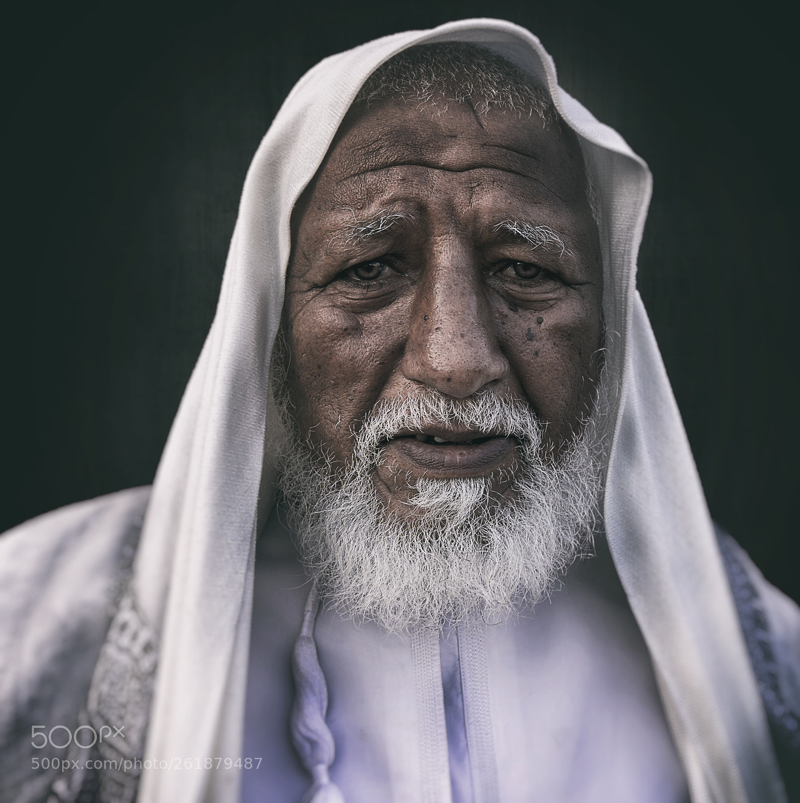 Canon EOS 7D Mark II sample photo. Untitled photography