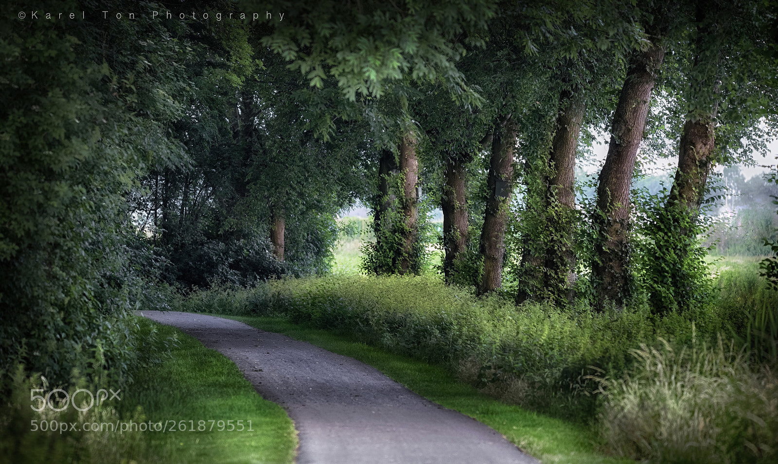 Canon EOS 6D sample photo. Egboetswater, hauwert, holland  photography