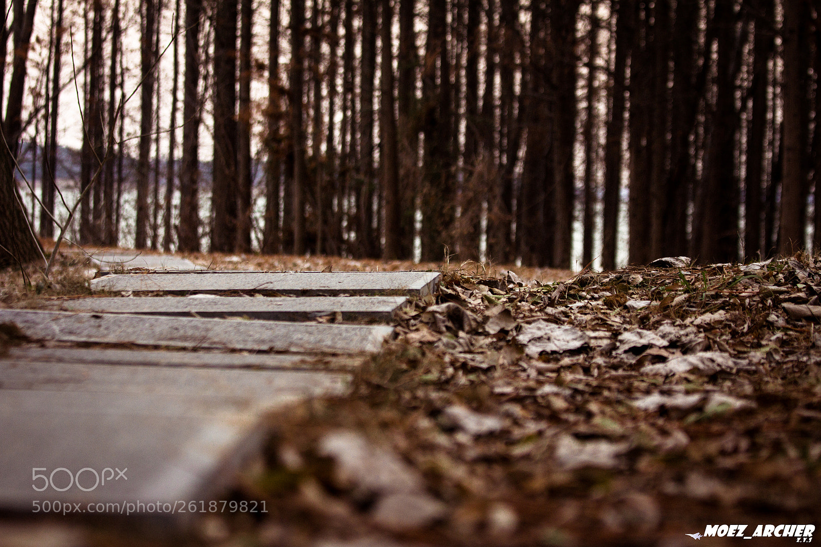 Canon EOS 60D sample photo. The road photography