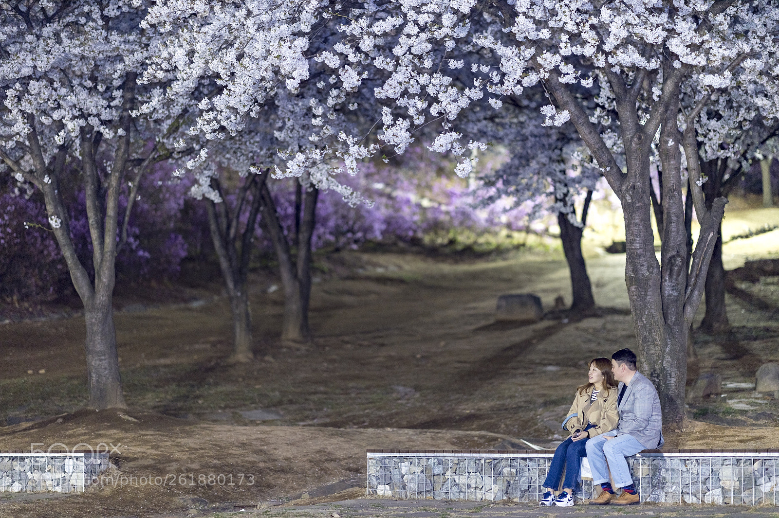 Nikon D4S sample photo. Sakura couple photography