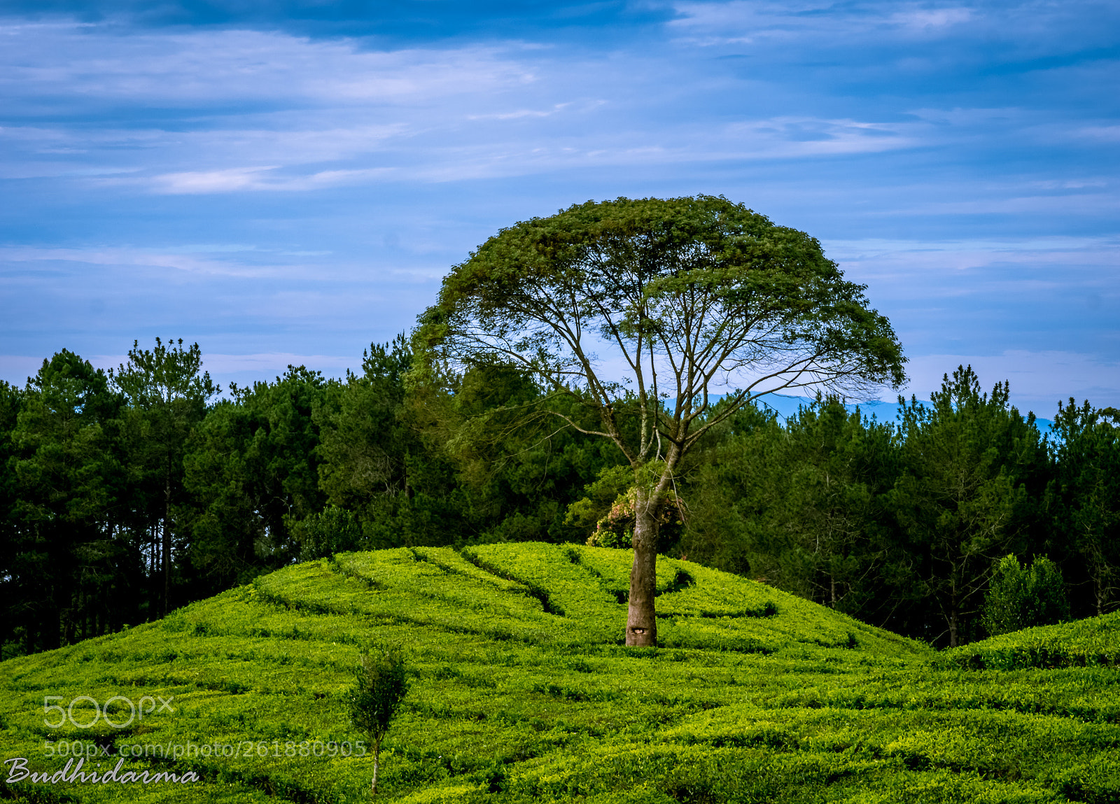 Panasonic Lumix DMC-G7 sample photo. Stand alone photography