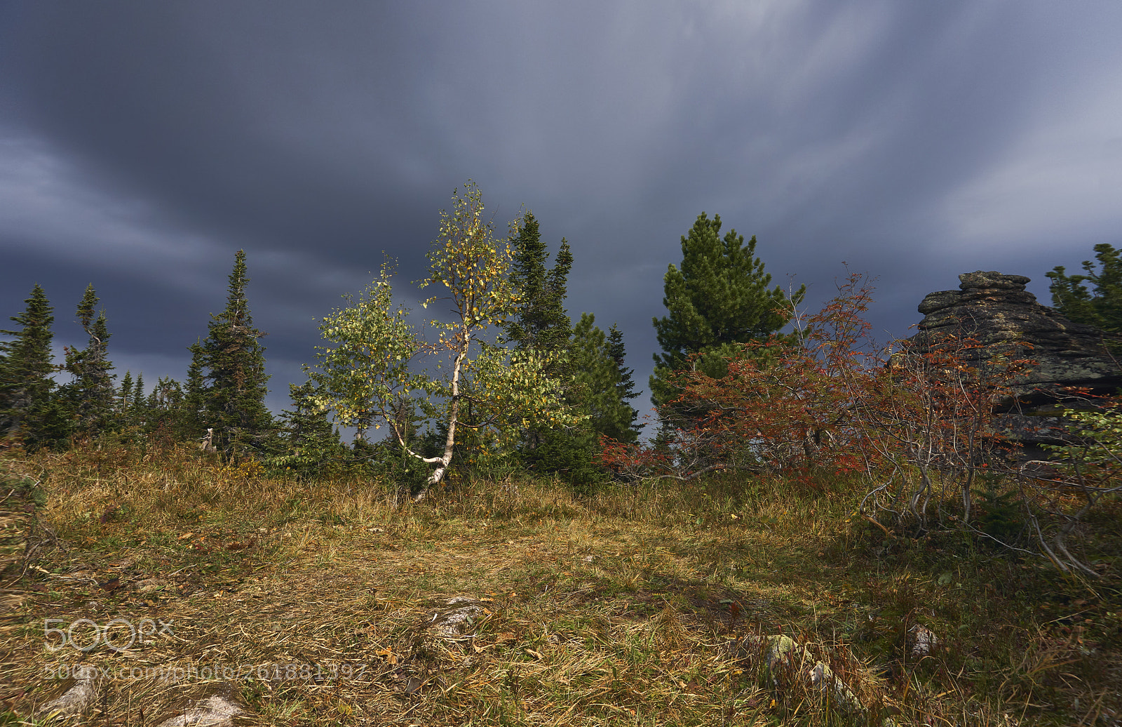 Sony a6300 sample photo. 7 minutes before the rain... photography