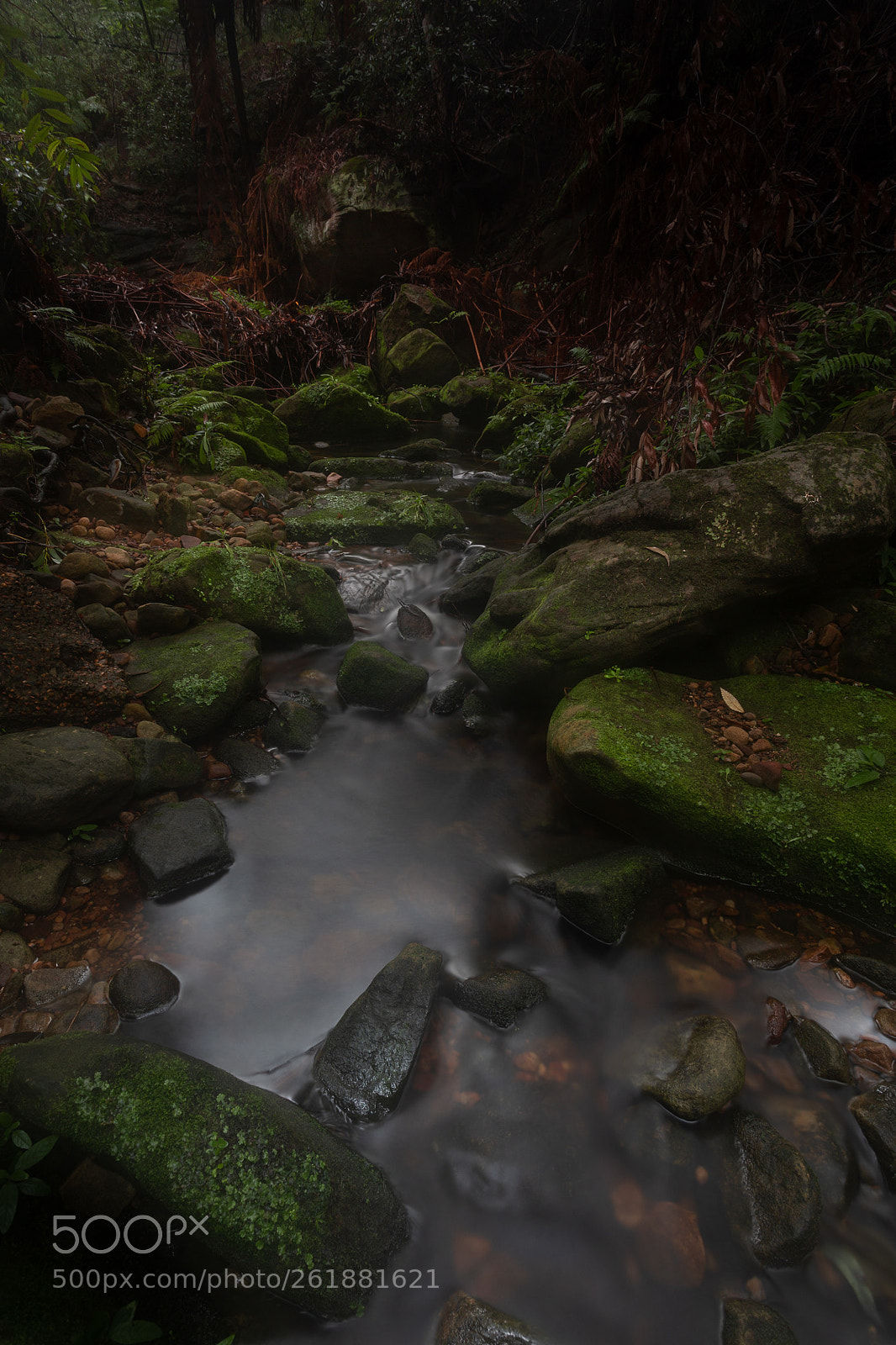 Canon EOS 6D sample photo. Cattai creek photography