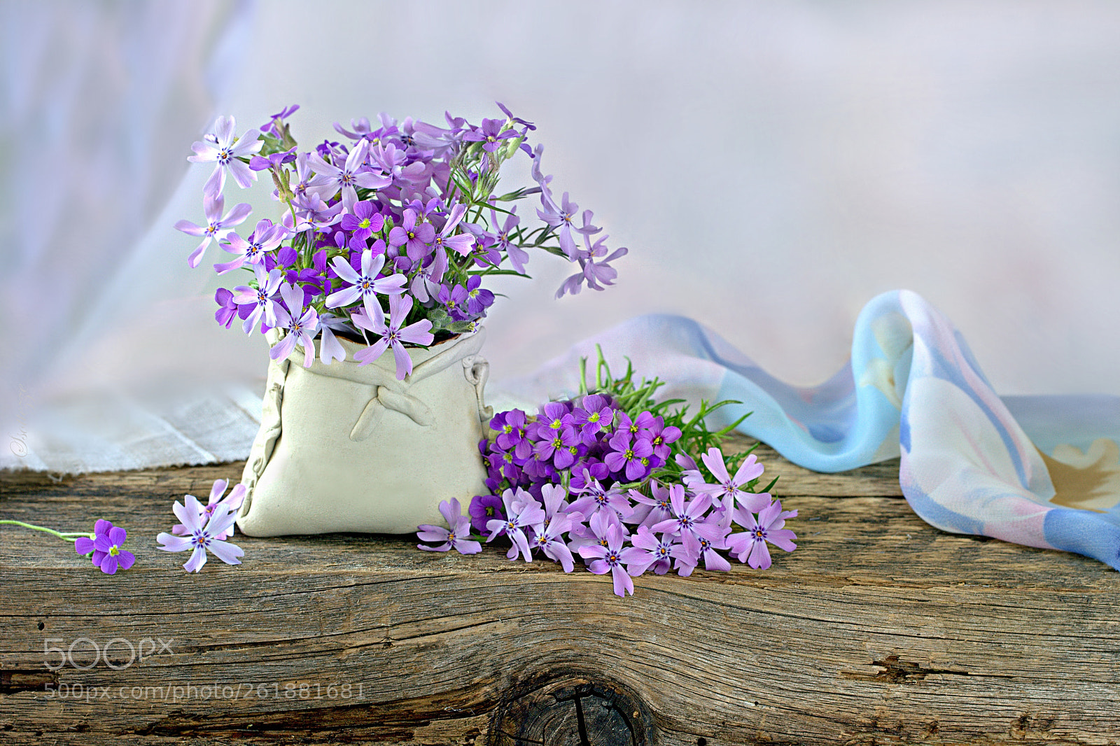 Canon EOS 600D (Rebel EOS T3i / EOS Kiss X5) sample photo. Phloxes and aubrietas photography