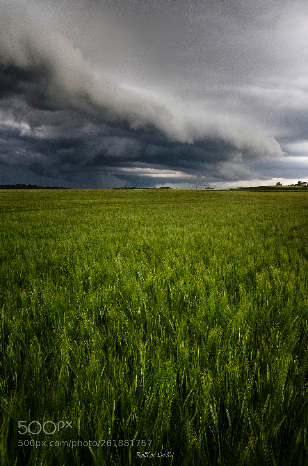 Nikon D7000 sample photo. Tourments sur les plaines photography