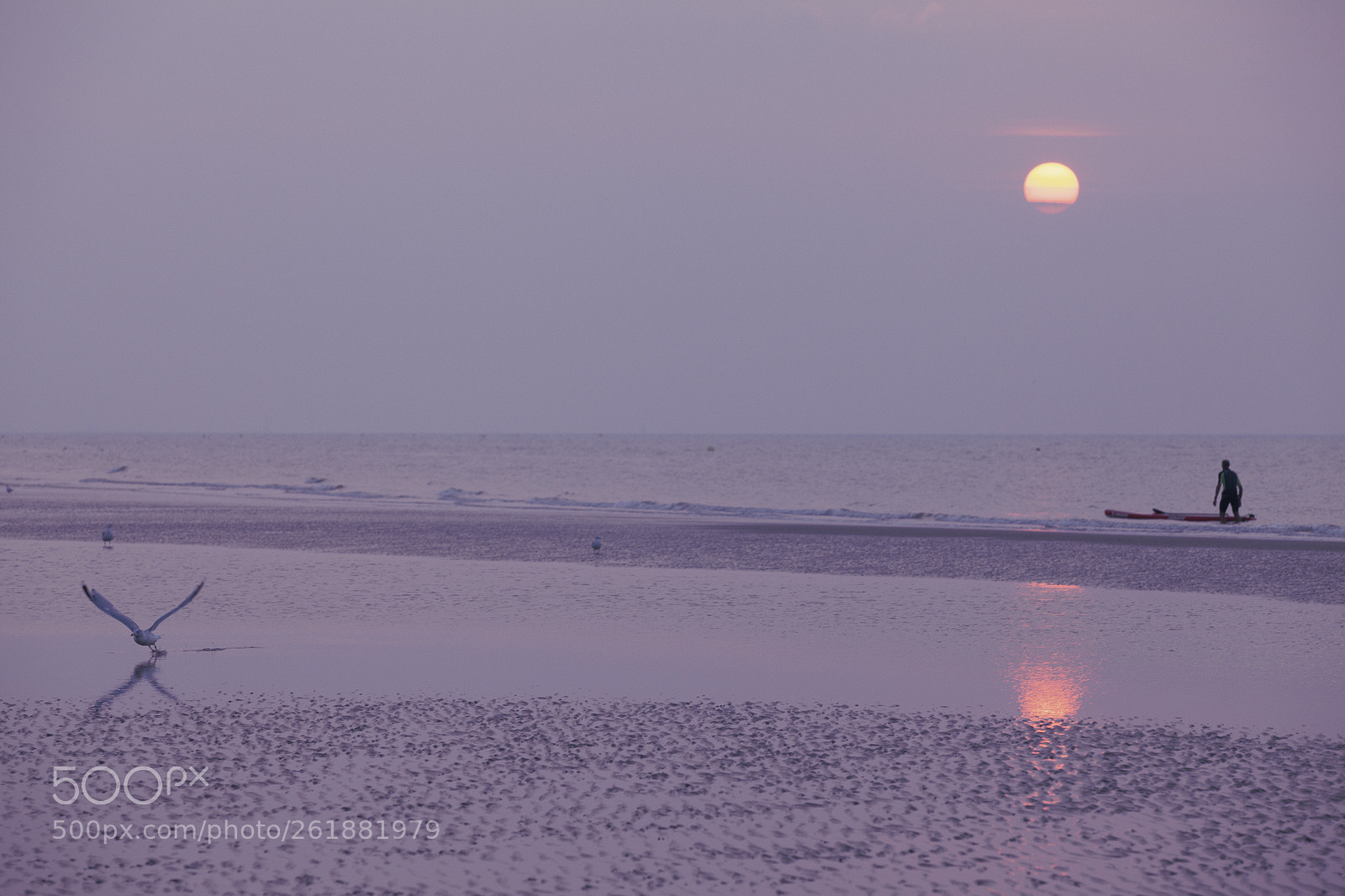 Canon EOS 5D Mark II sample photo. Sunset in bray-dunes photography