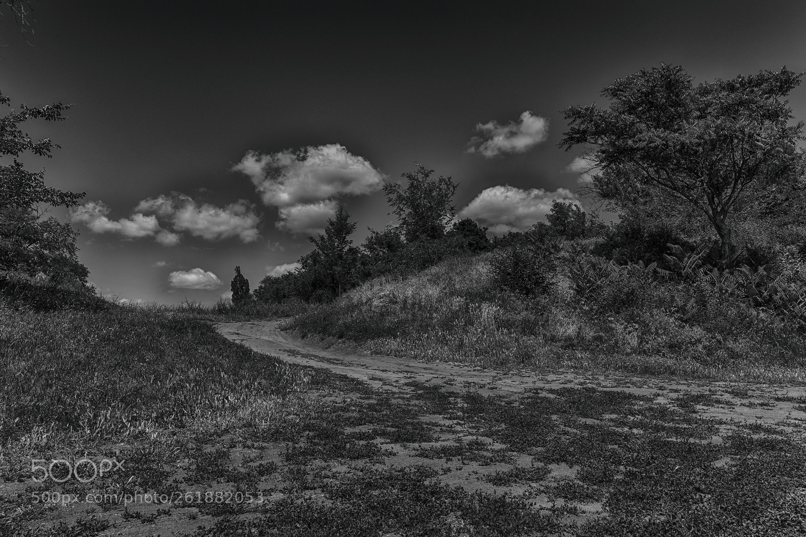 Canon EOS 7D Mark II sample photo. Walk with clouds photography