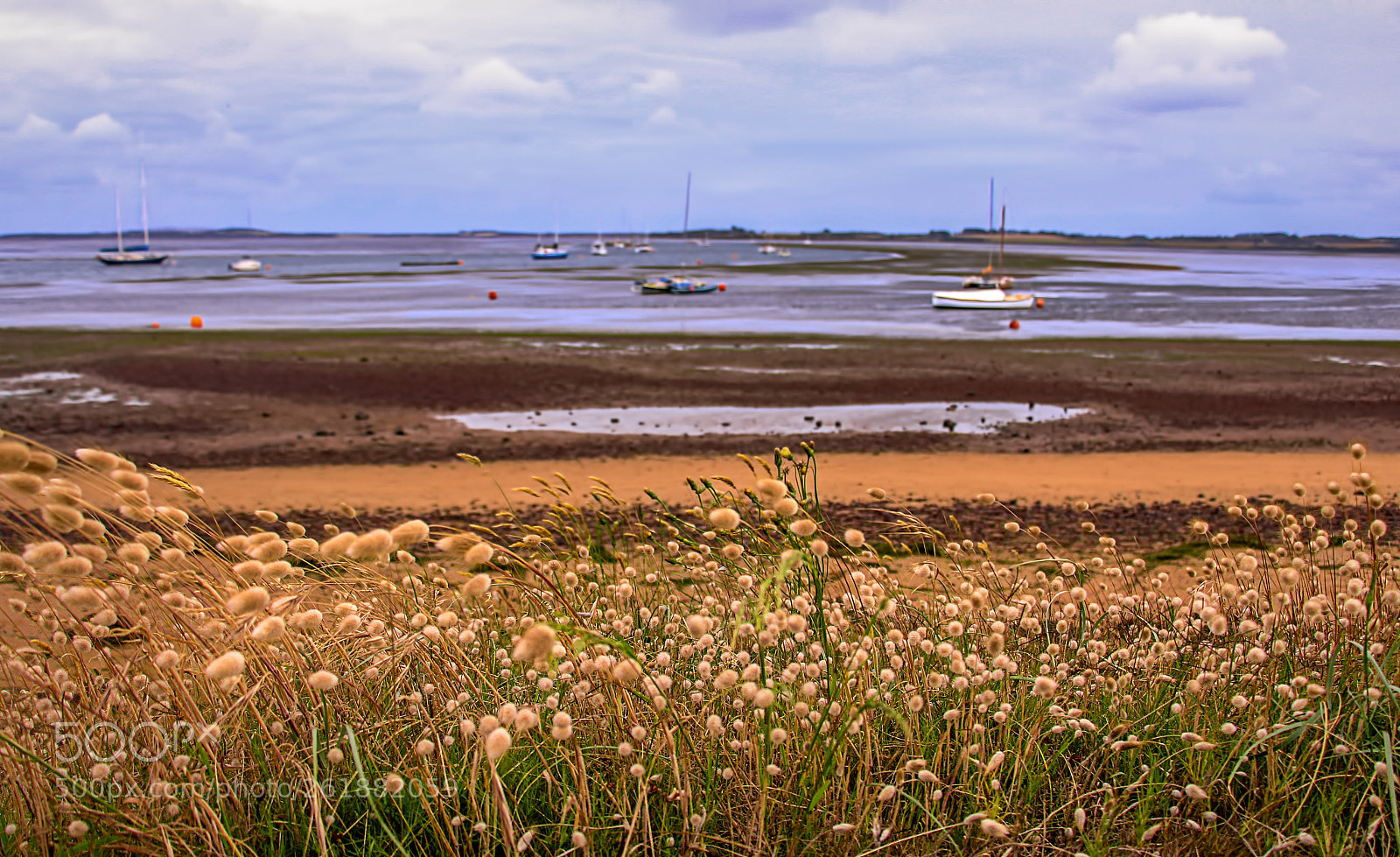 Canon EOS 700D (EOS Rebel T5i / EOS Kiss X7i) sample photo. Scenic view photography