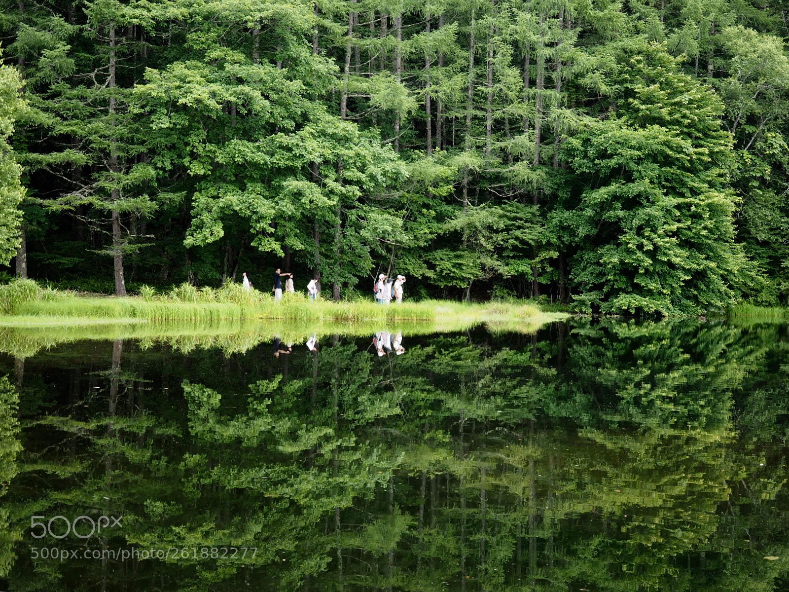Olympus OM-D E-M1 sample photo. Reflection photography