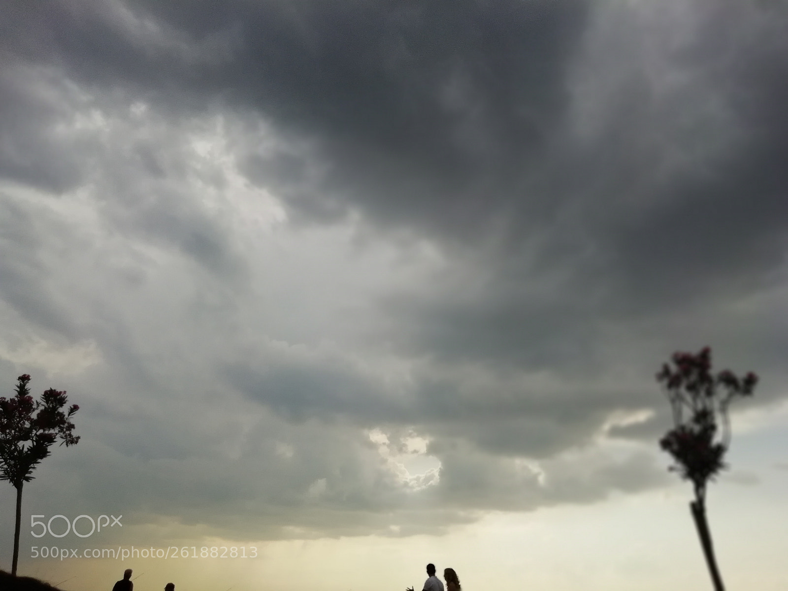 HUAWEI FIG-LX1 sample photo. Edf photography
