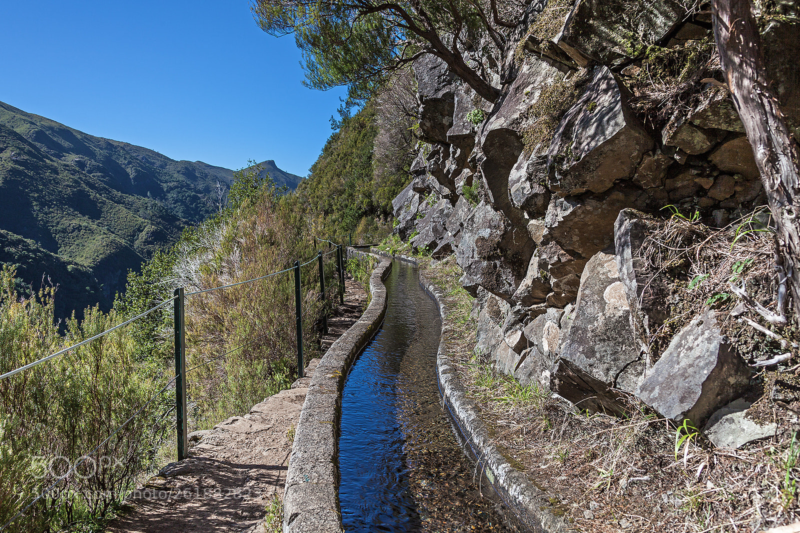 Canon EOS 5D Mark II sample photo. Levada in madeira photography