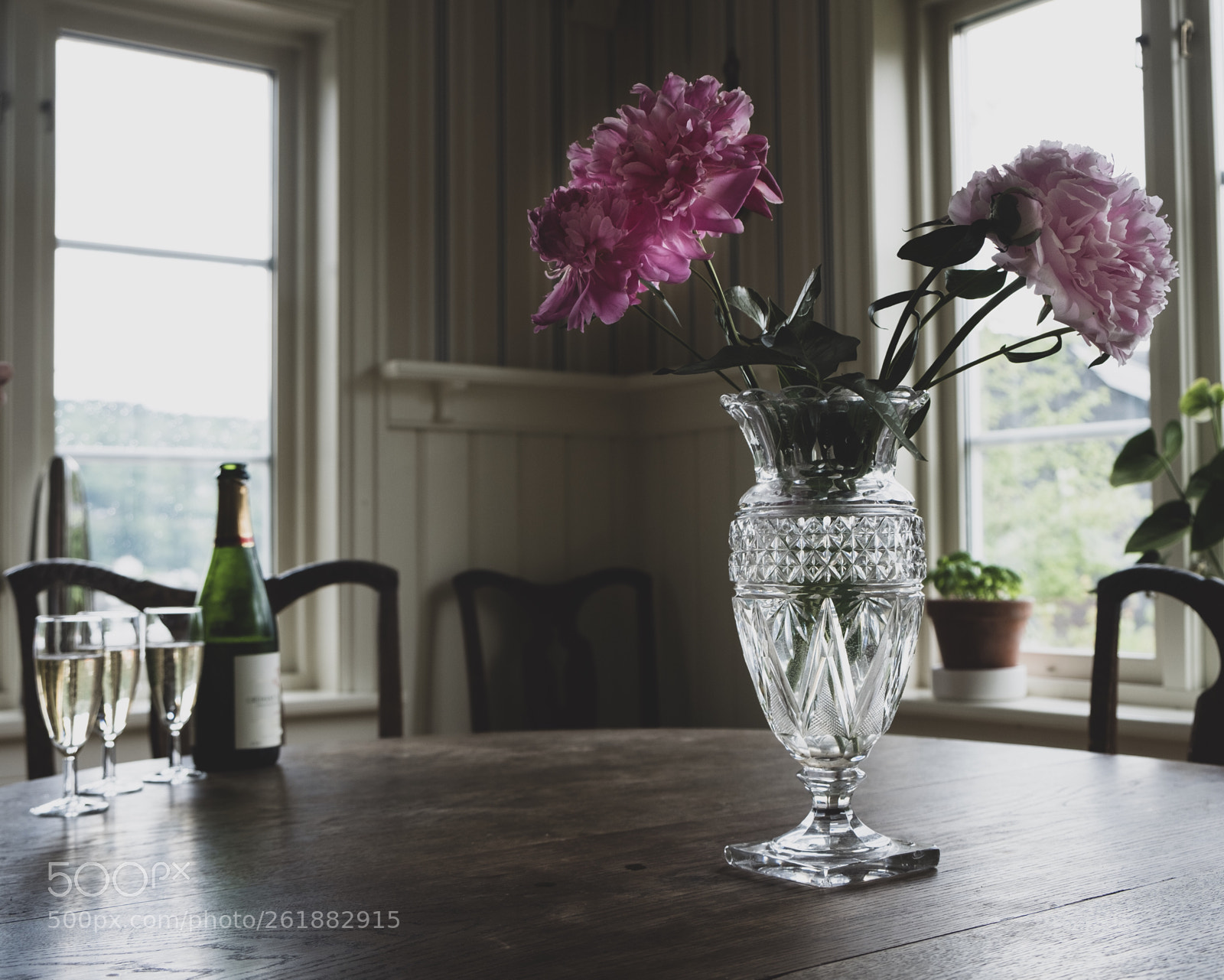 Fujifilm X-T20 sample photo. Untitled photography