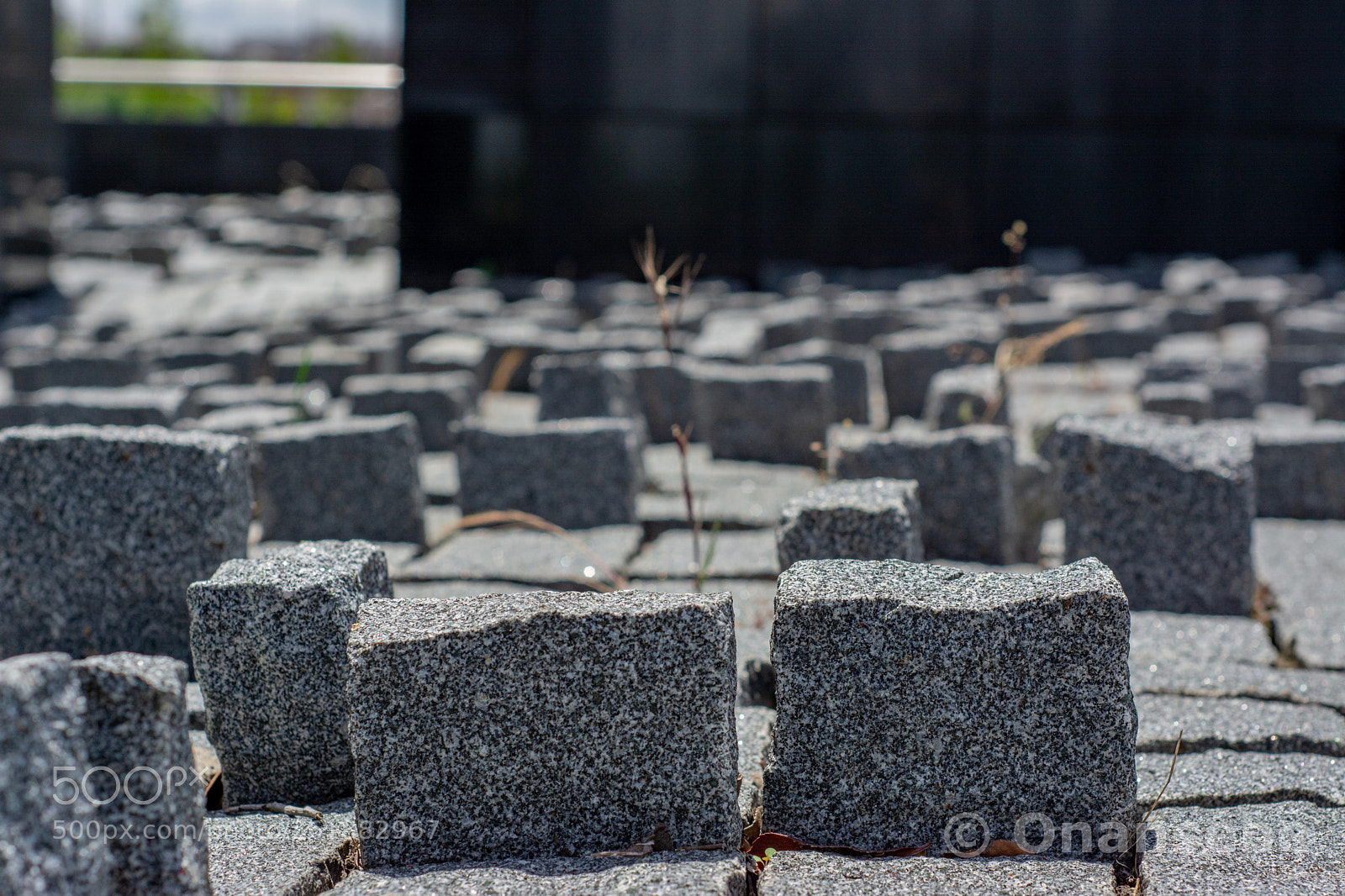 Nikon D5200 sample photo. Granito photography