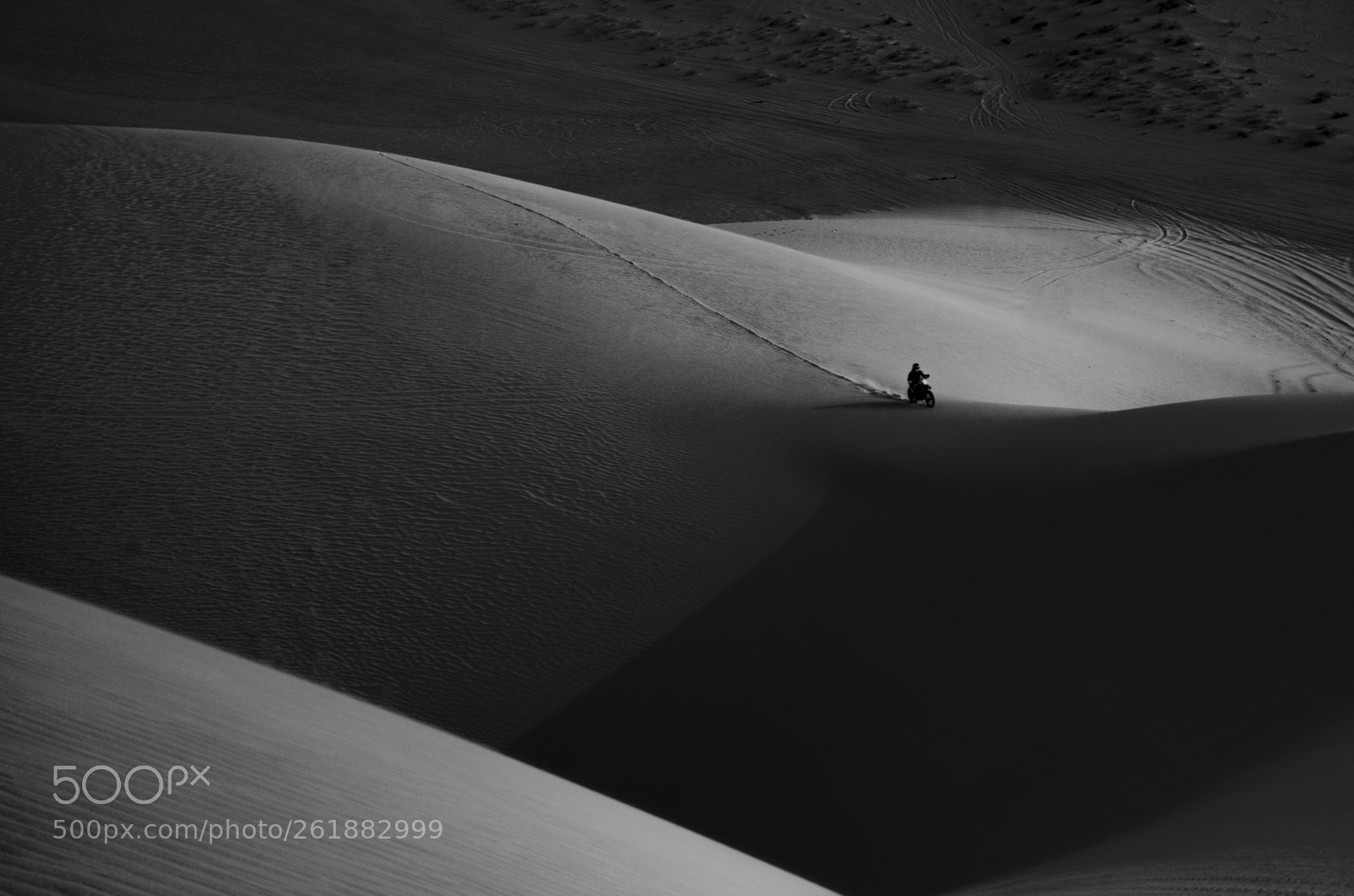 Nikon D7000 sample photo. Desert rider photography