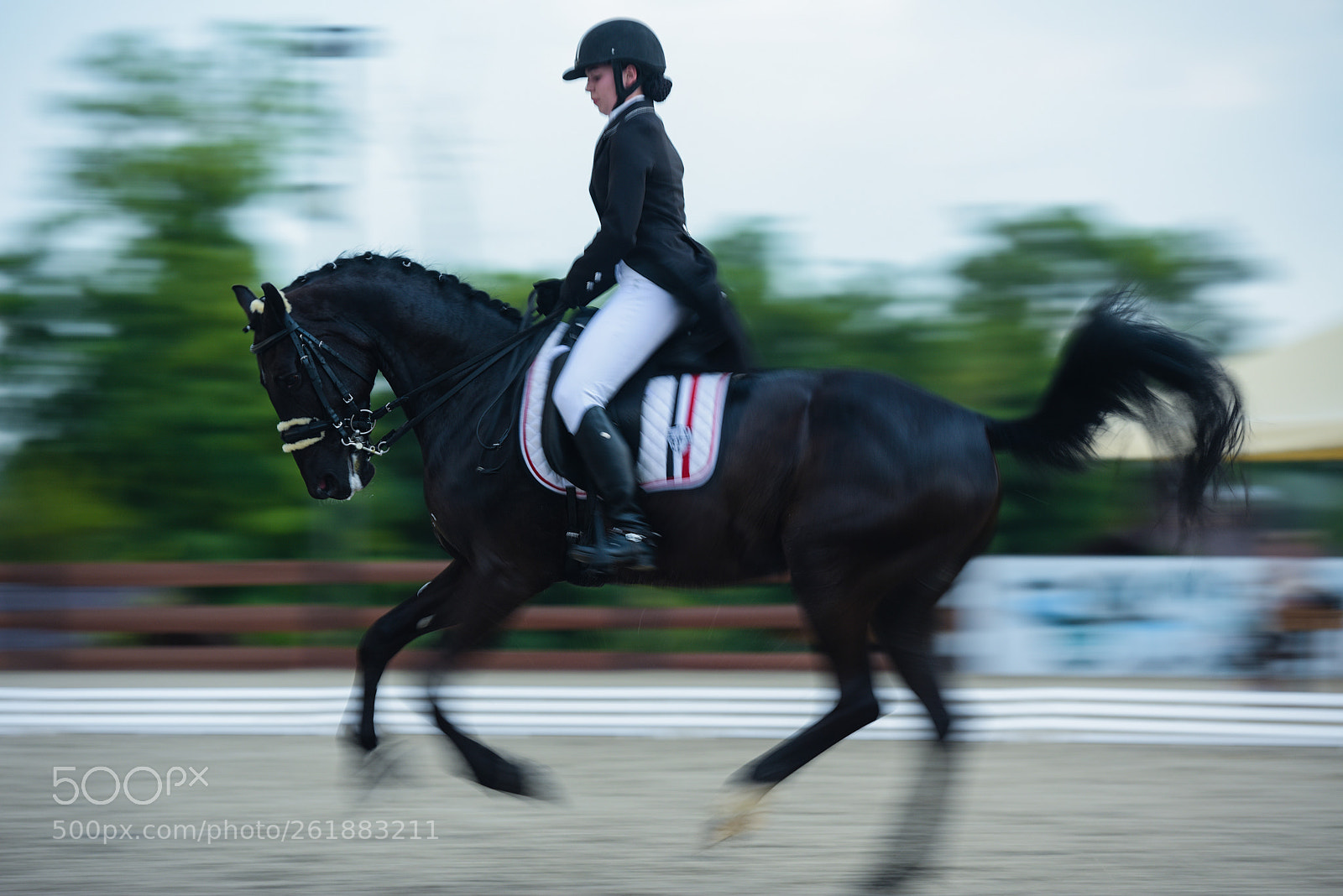 Nikon D810 sample photo. The girl dispersed on photography